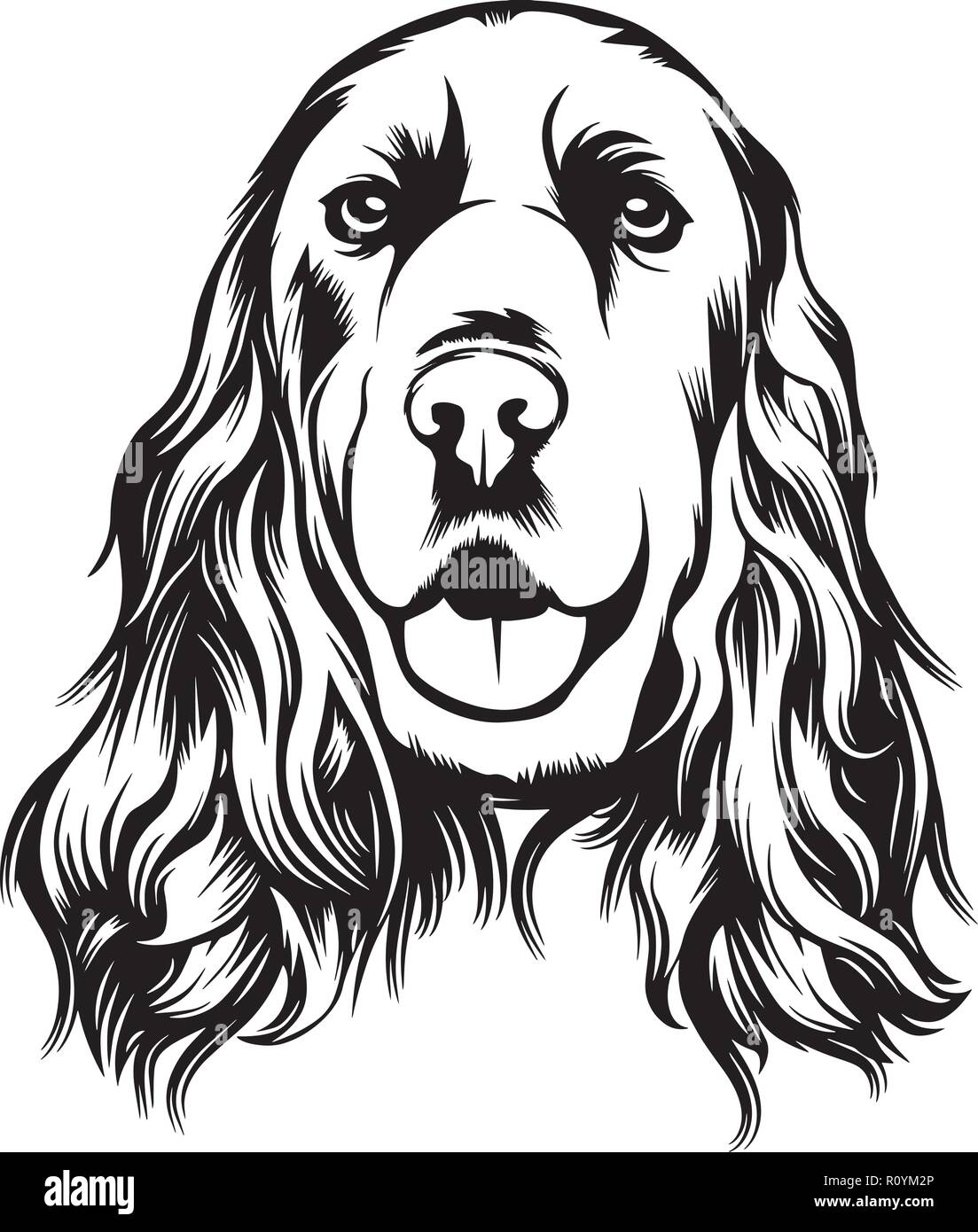 Cocker Spaniel Drawings for Sale  Fine Art America