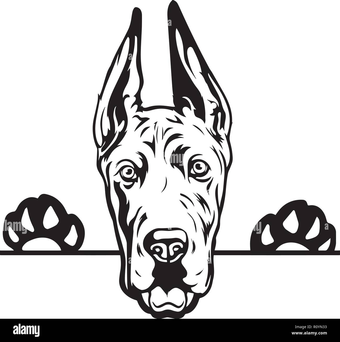 Great Dane Dog Breed Head Isolated Pedigree Pet Portrait Smiling Happy Puppy Face Animal Cartoon Illustration Portrait Art Artwork Cute Design Stock Vector Image & Art - Alamy Great Dane Dog Breed Head Isolated Pedigree Pet Portrait Smiling Happy Puppy Face Animal Cartoon Illustration Portrait Art Artwork Cute Design Stock Vector Image & Art - Alamy