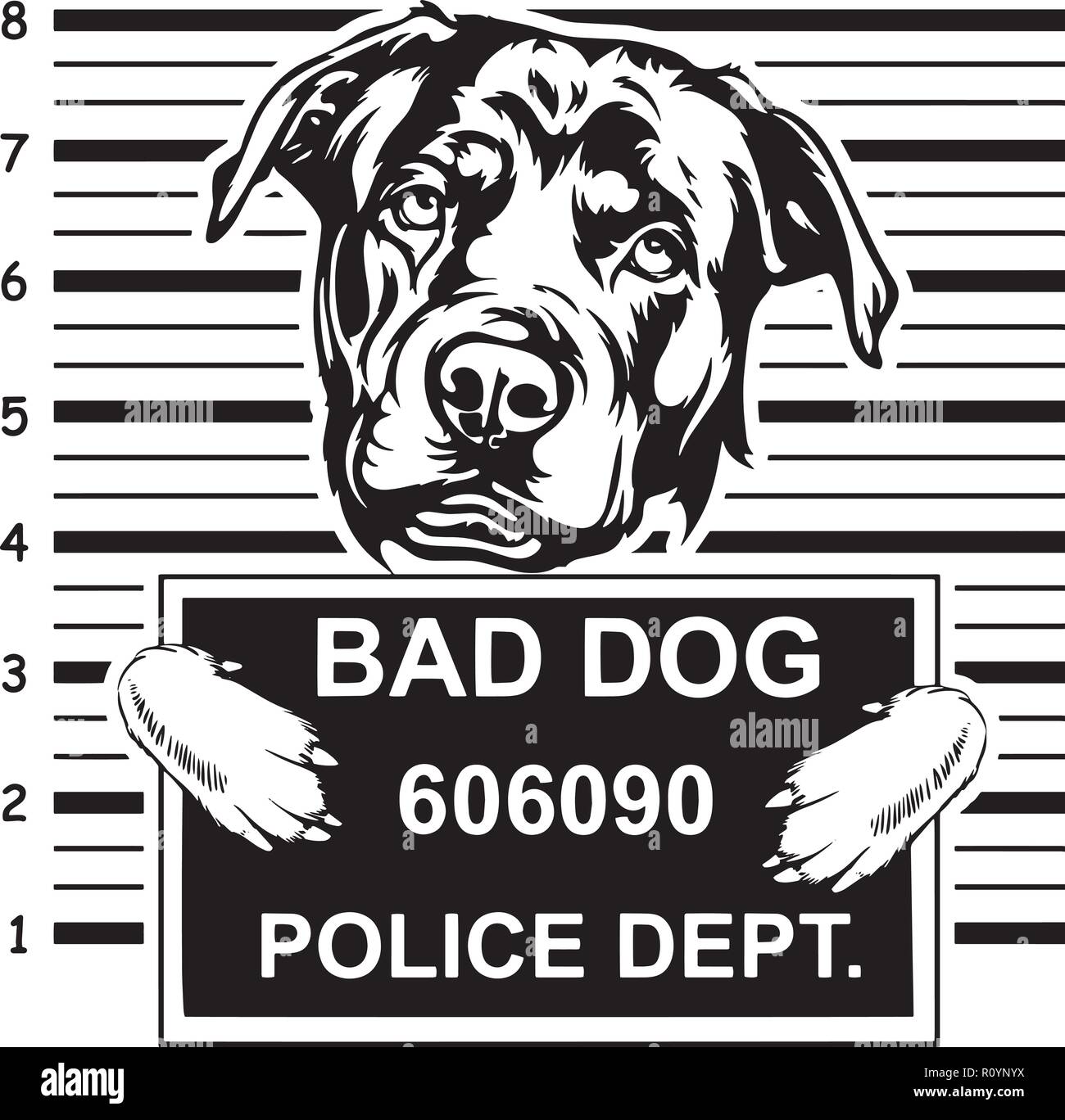 Funny cartoon rottweiler dog hi-res stock photography and images - Alamy