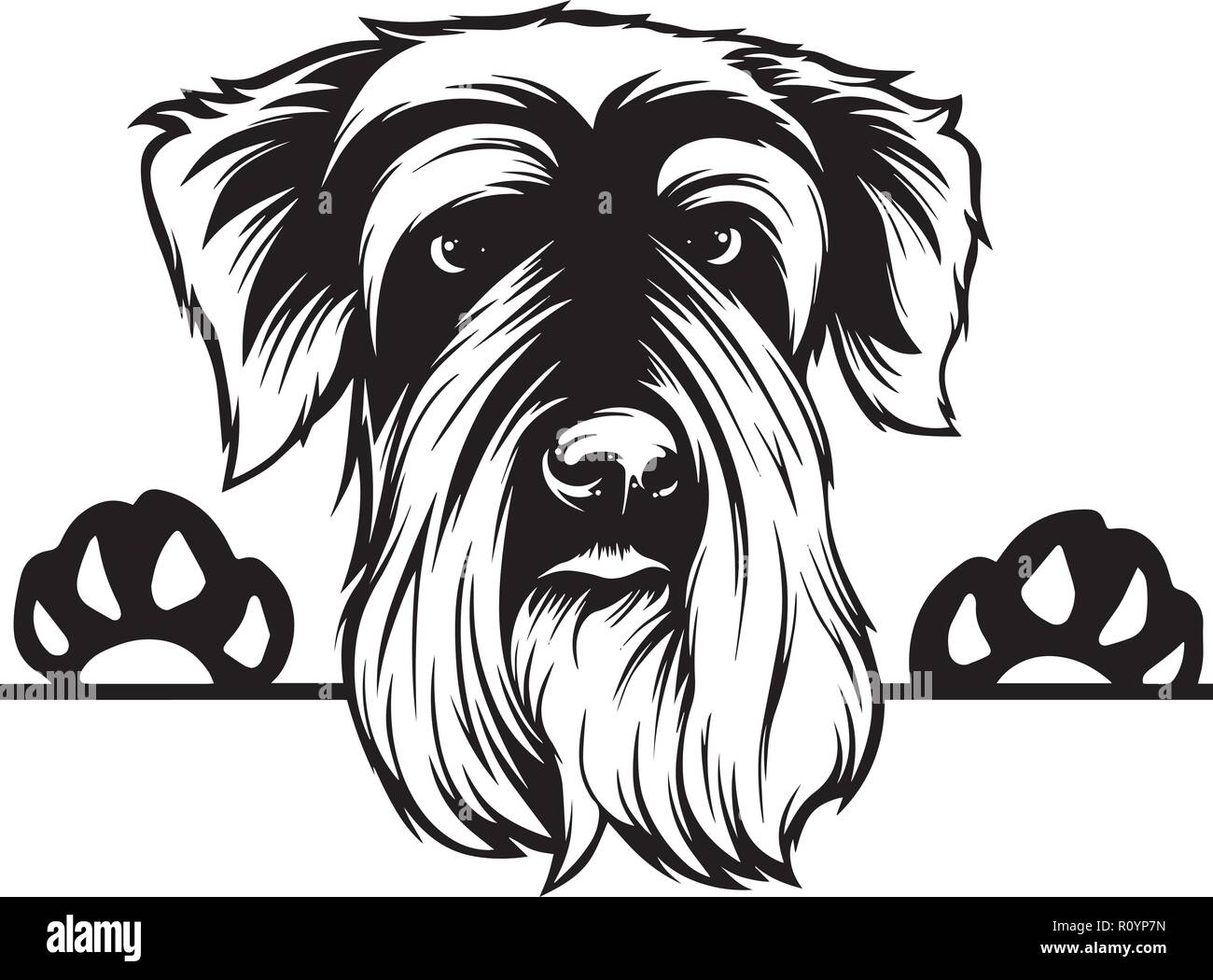 Soft Coated Wheaten Terrier Pedigree Dog Breed Head Isolated Pet Portrait Smiling Happy Puppy Face Animal Cartoon Illustration Portrait Art Artwork Stock Vector