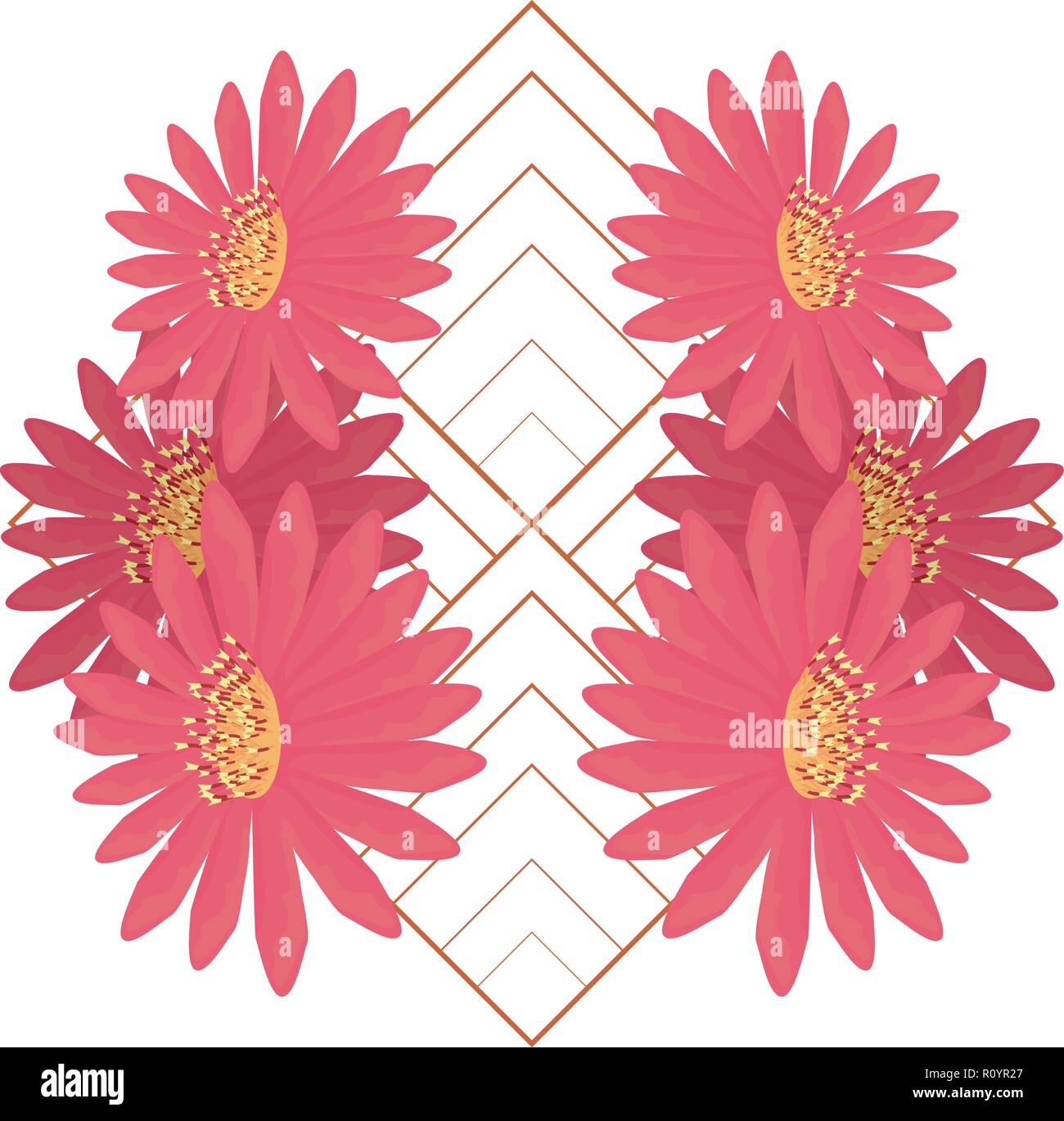 flowers daisy arrangement on white background vector illustration Stock ...