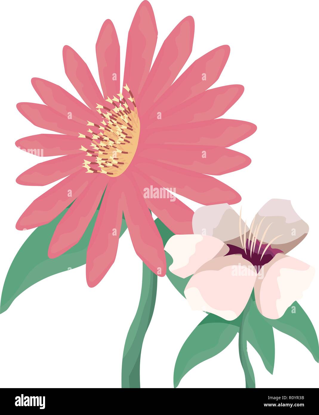 flowers daisy on white background vector illustration Stock Vector ...