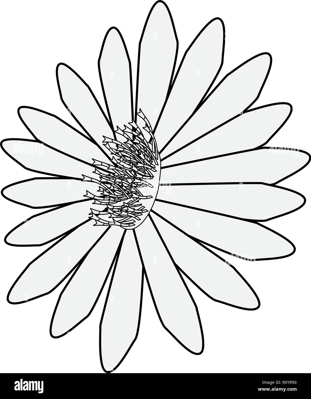 flower daisy on white background vector illustration Stock Vector Image ...