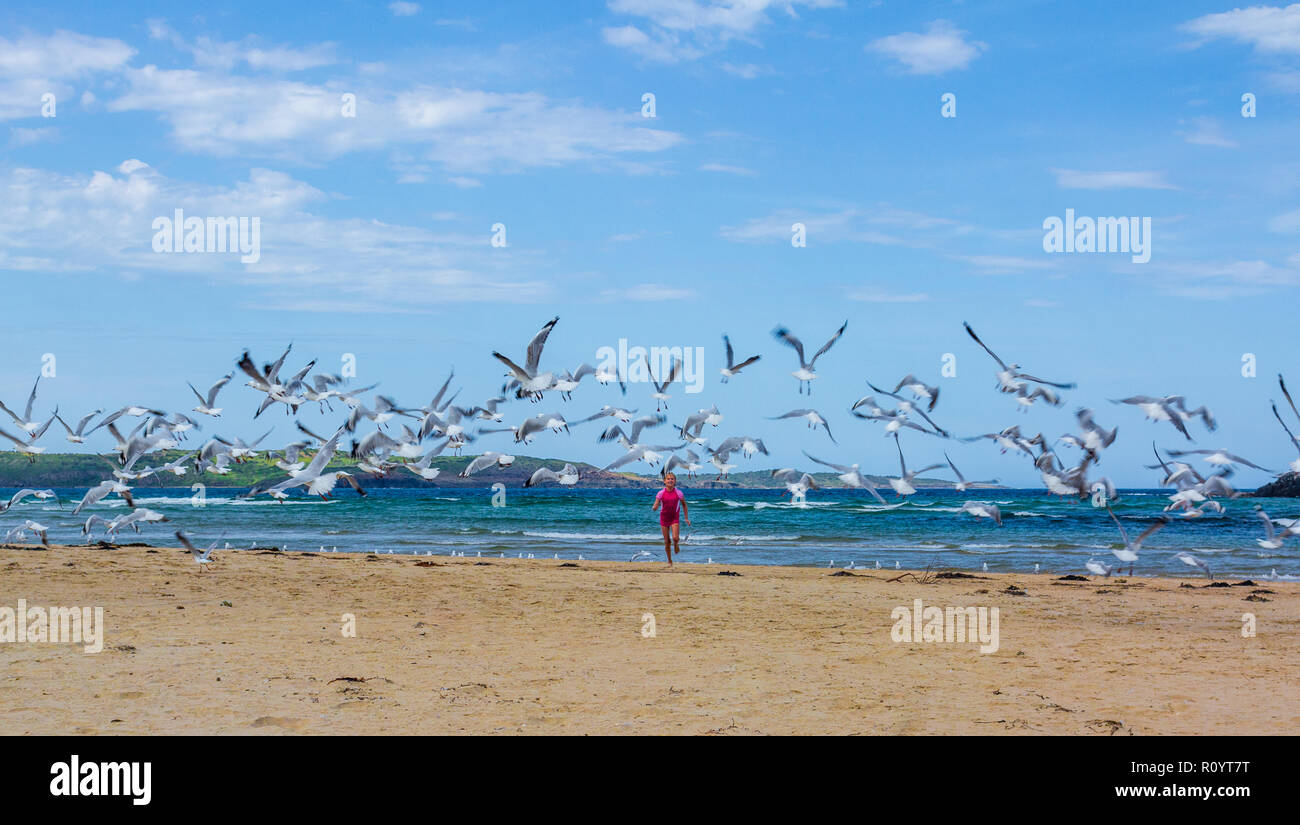 Child running outside having fun towards a flying flock of seagulls flying up off a sunny Australian beach looking out to sea Stock Photo