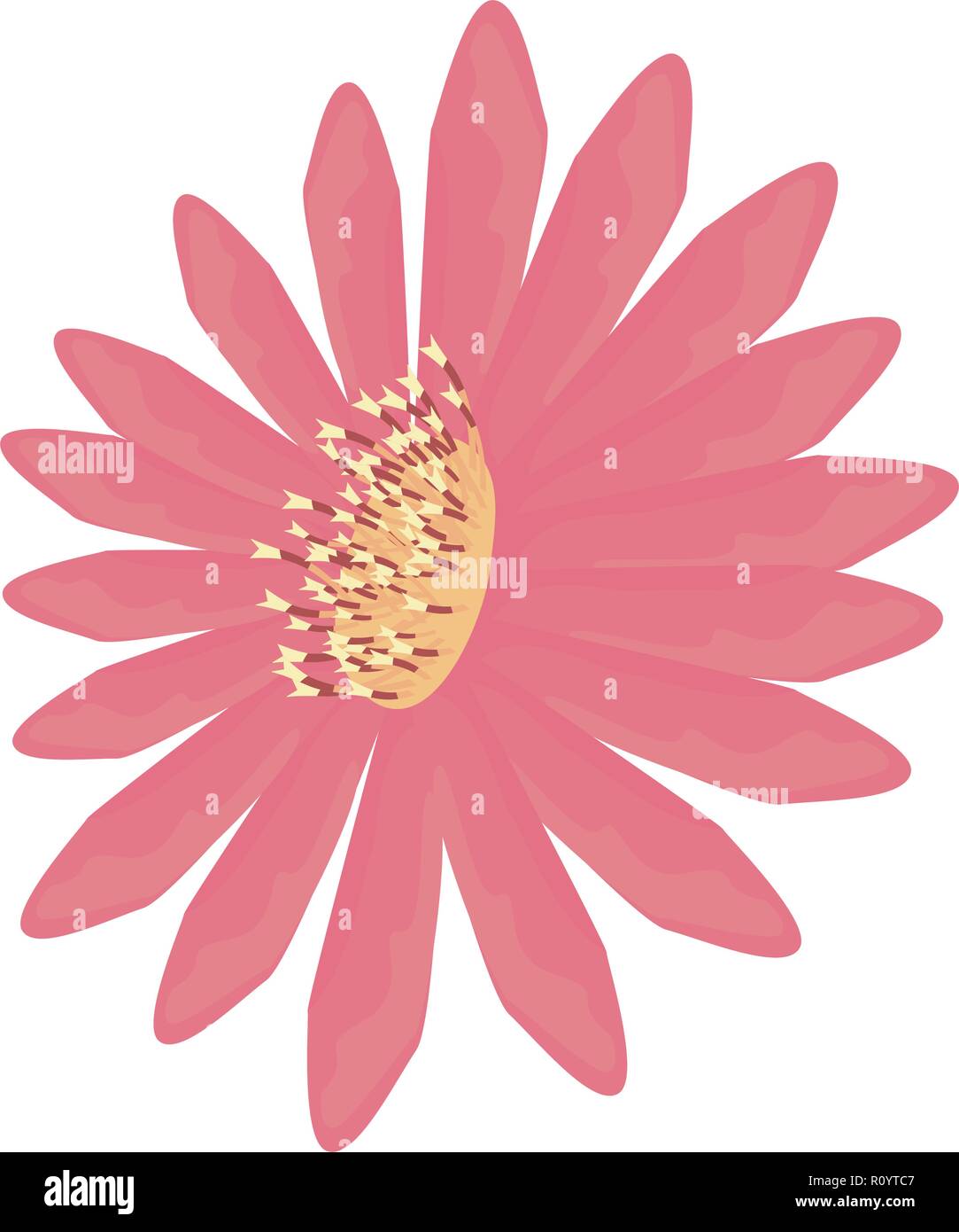 flower daisy on white background vector illustration Stock Vector Image ...