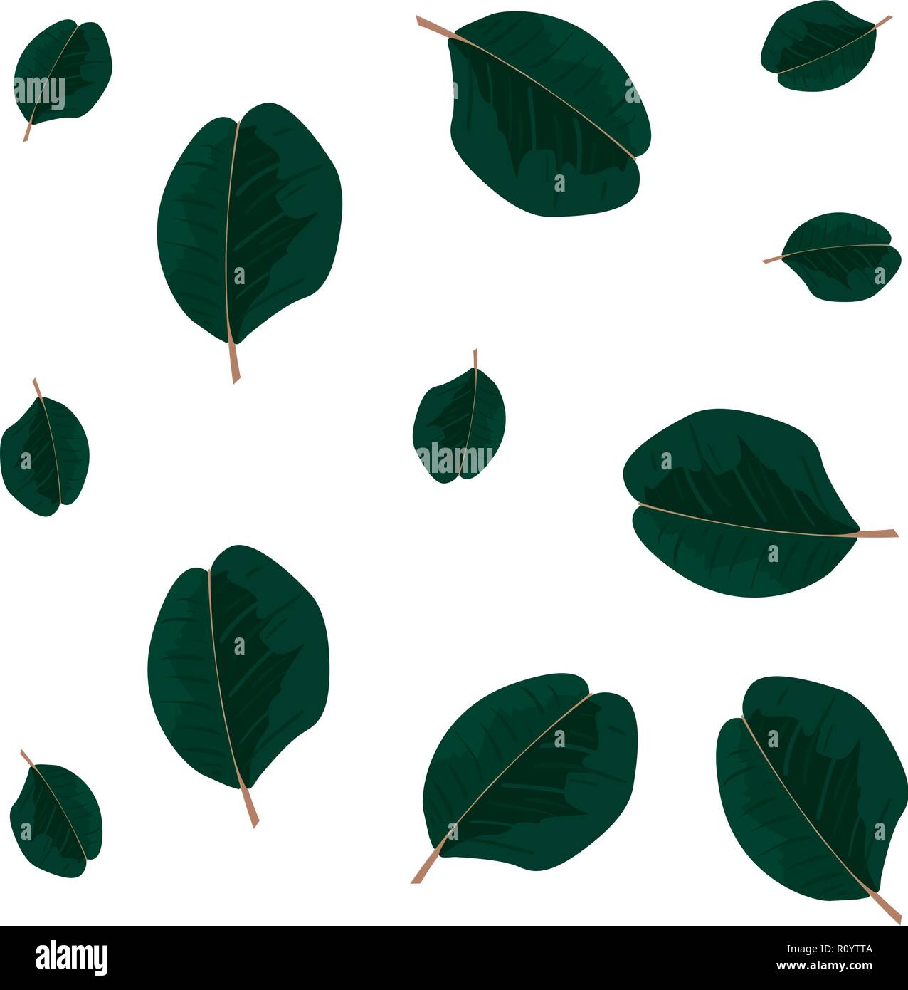 green leaves botanical on white background vector illustration Stock ...