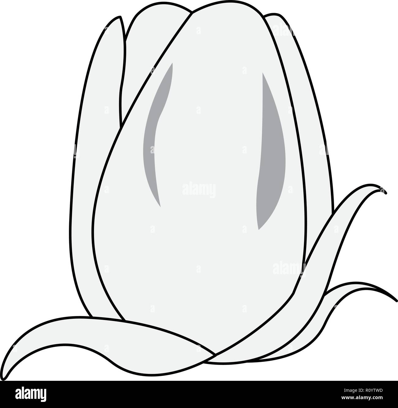 flower tulip on white background vector illustration Stock Vector Image ...