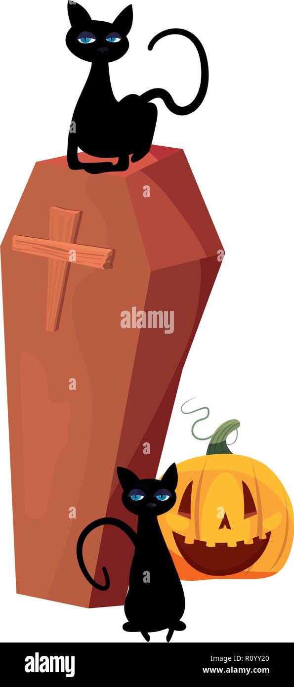 halloween cats coffin and pumpkin party vector illustration Stock ...