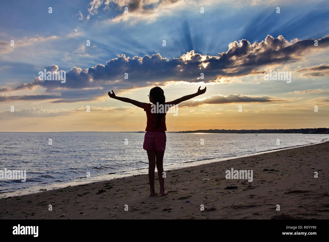 Reaching For The Skies Stock Photos Reaching For The Skies Stock