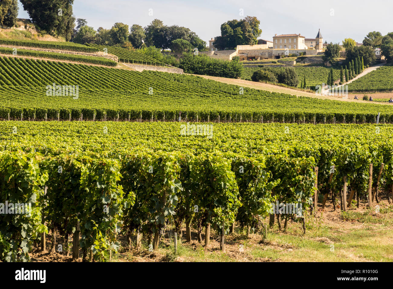Saint-Emilion, France. Vineyards at the Jurisdiction of Saint-Emilion, a World Heritage Site since 1999 Stock Photo