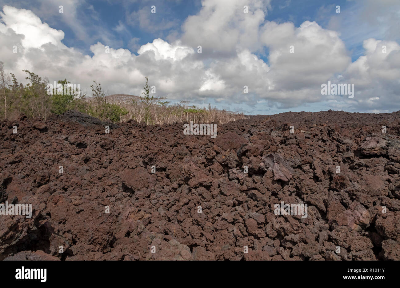 Pahoa, Hawaii Cooled lava from the 2018 eruption of the Kilauea volcano. This lava flow