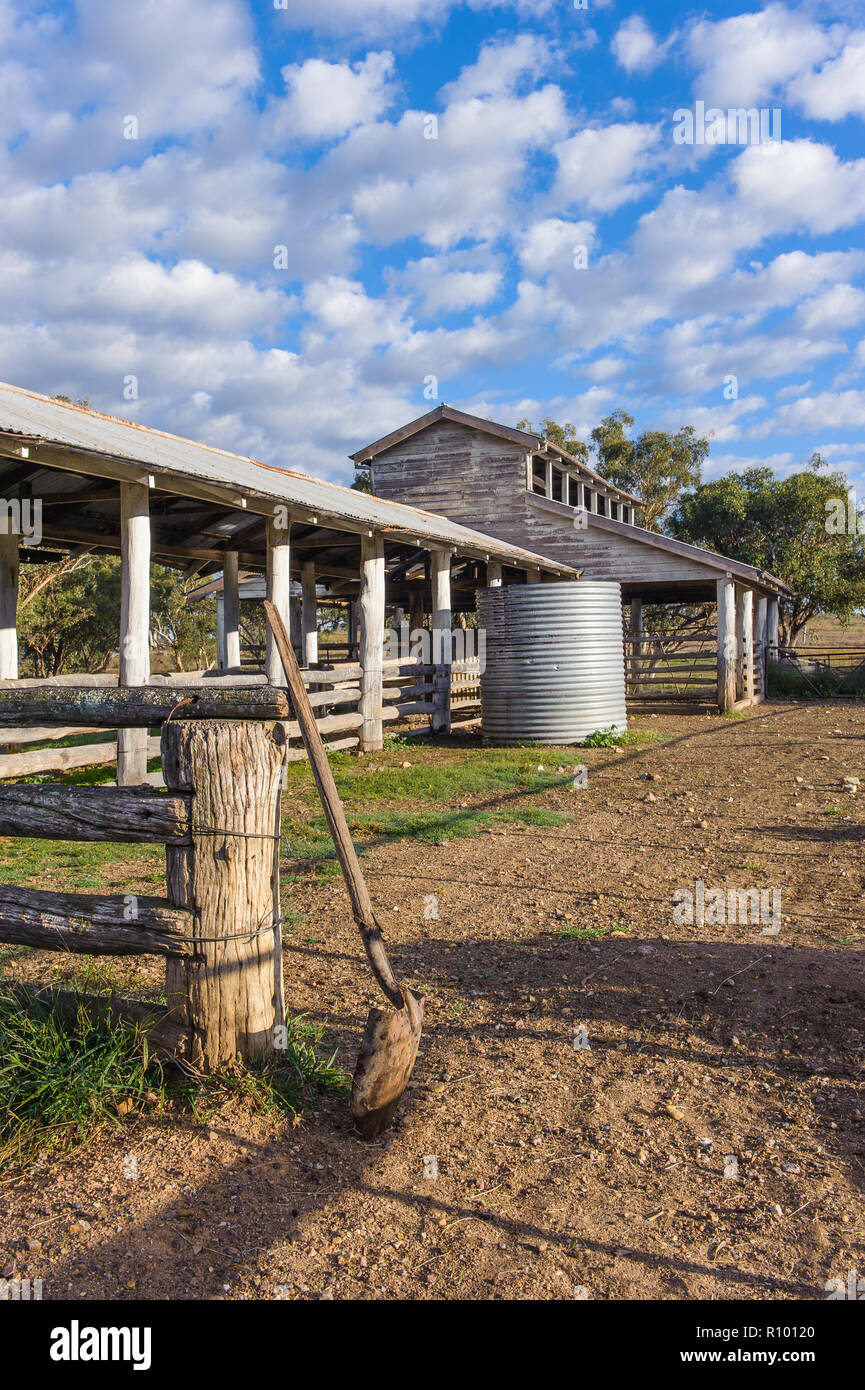 Sheep station australia hi-res stock photography and images - Alamy