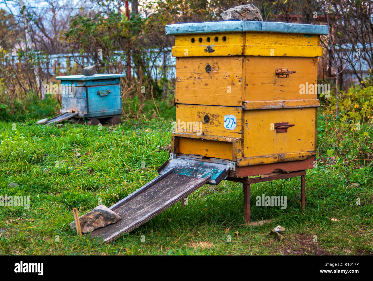 Hives in the apiary. Completion of the summer season of honey