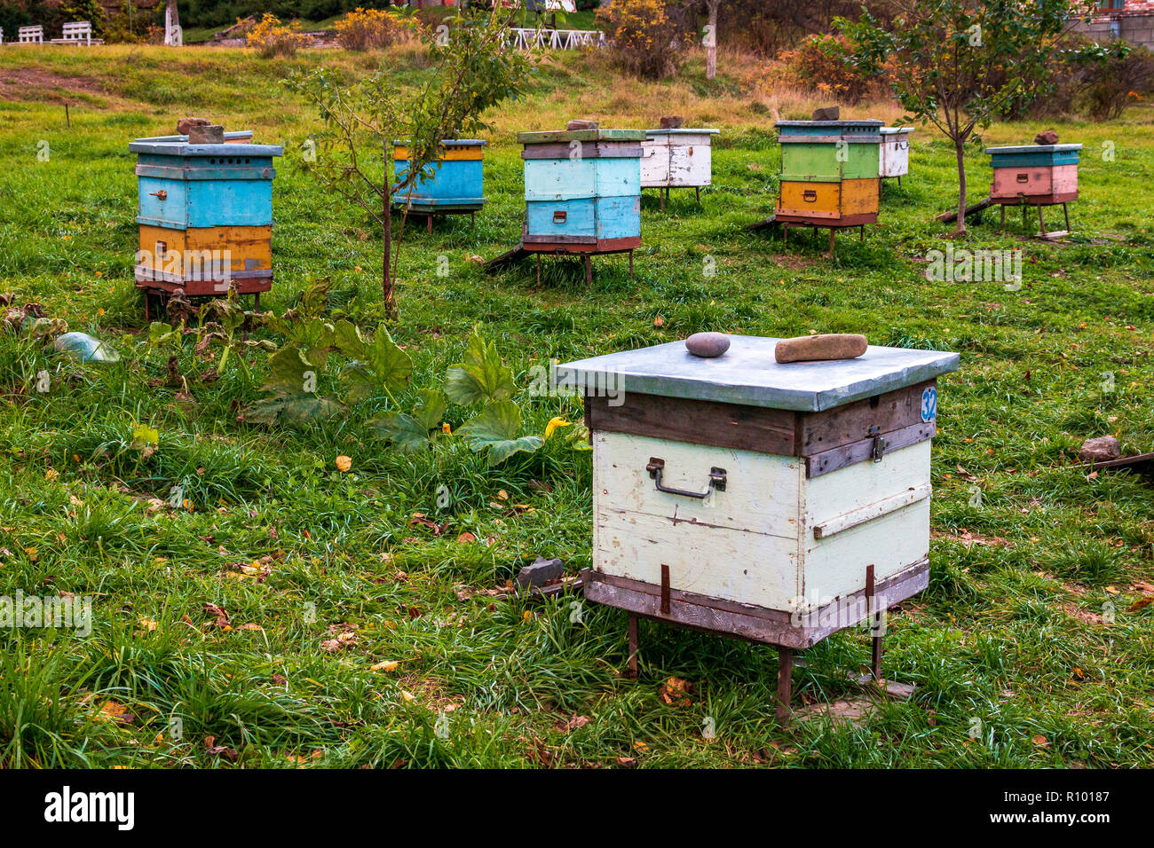 Hives in the apiary. Completion of the summer season of honey