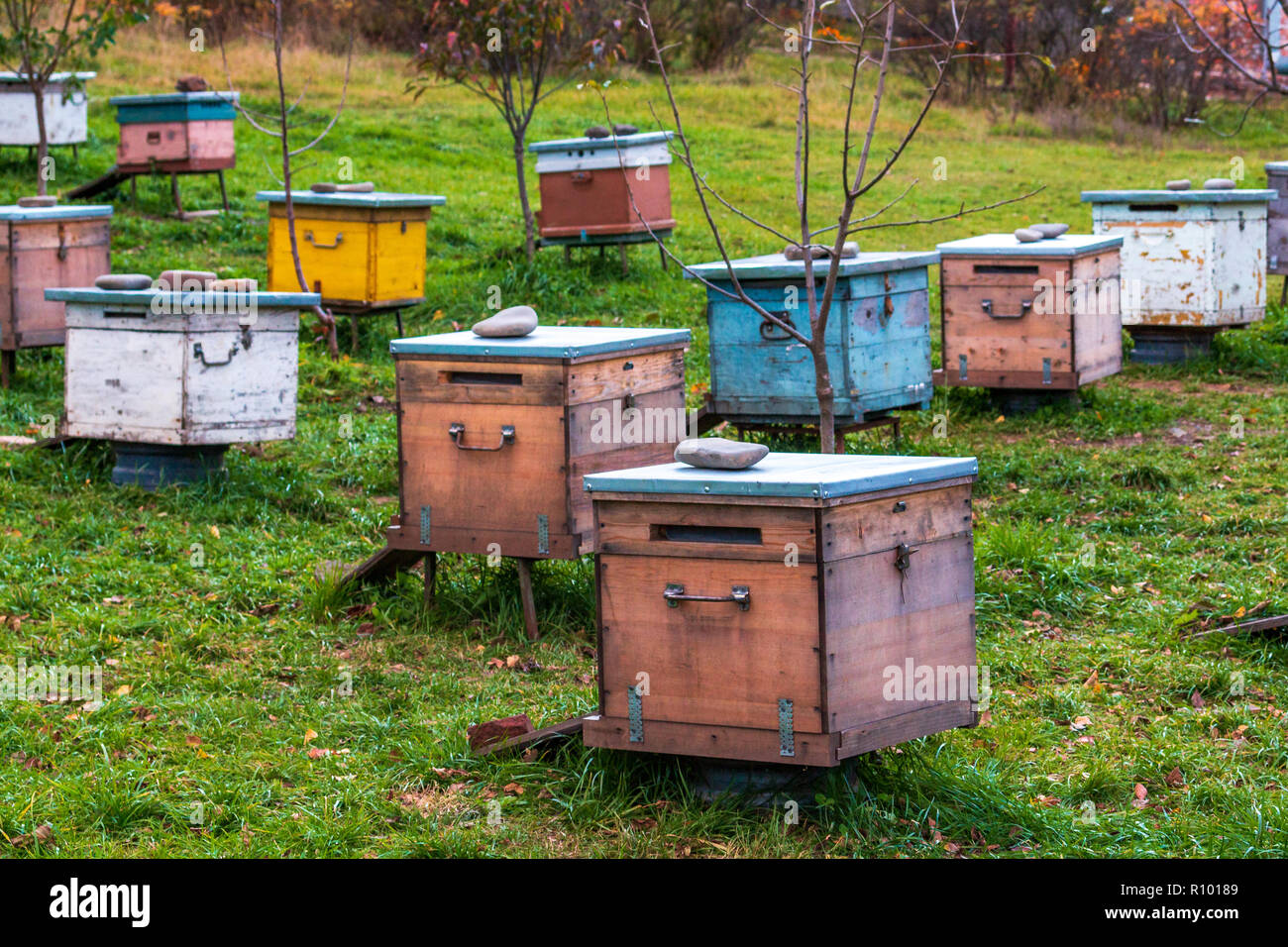 Hives in the apiary. Completion of the summer season of honey ...