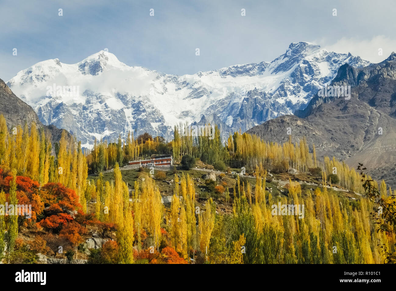 Autumn scene in Hunza valley with snow capped mountains in the