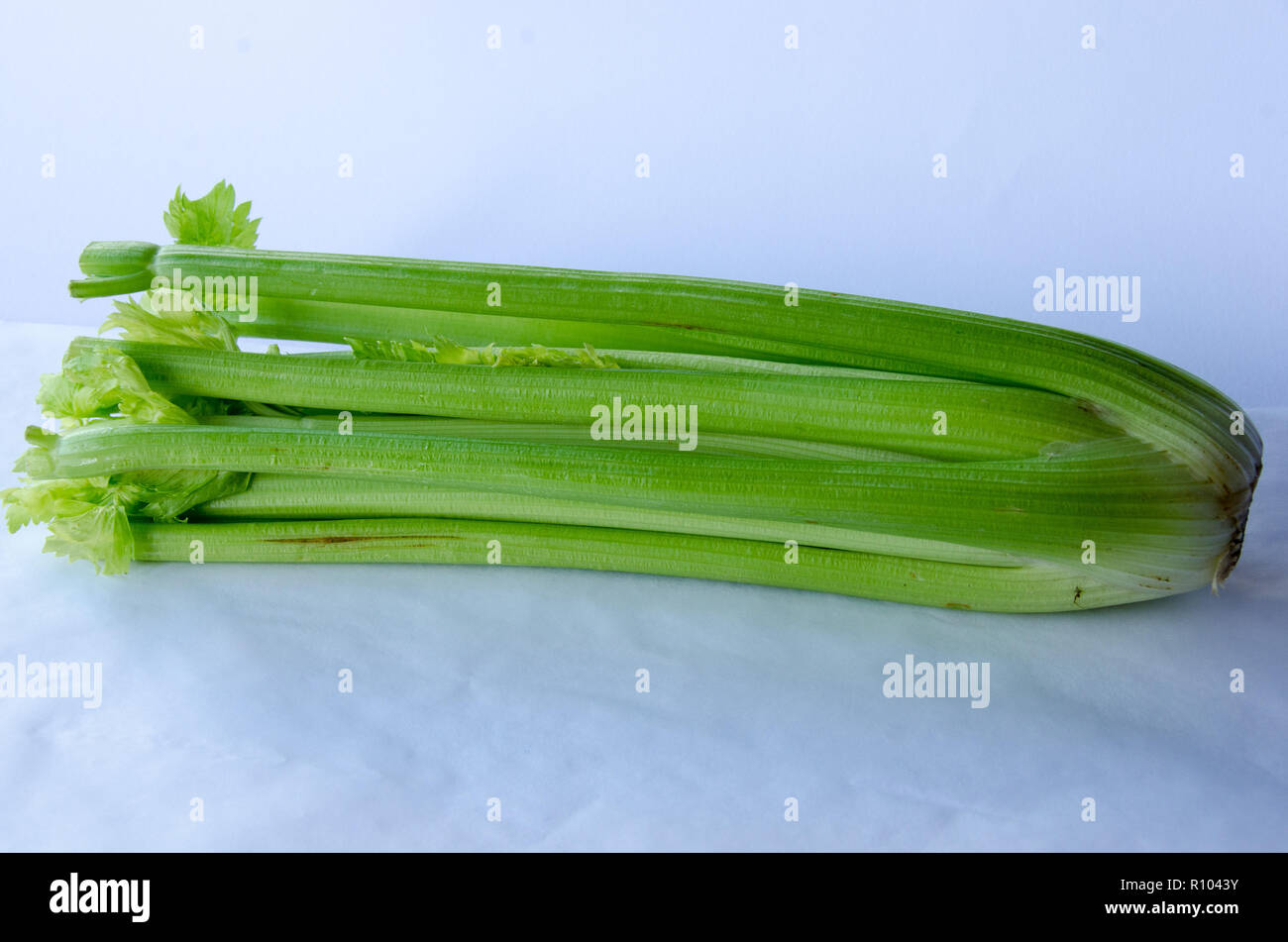 Celery (Apium graveolens var. dulce) on white background Stock Photo