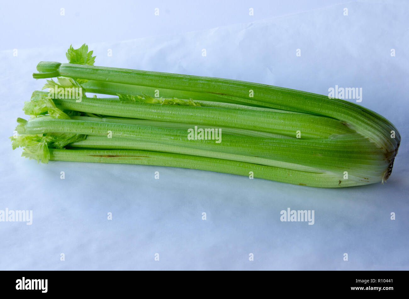Celery (Apium graveolens var. dulce) on white background Stock Photo