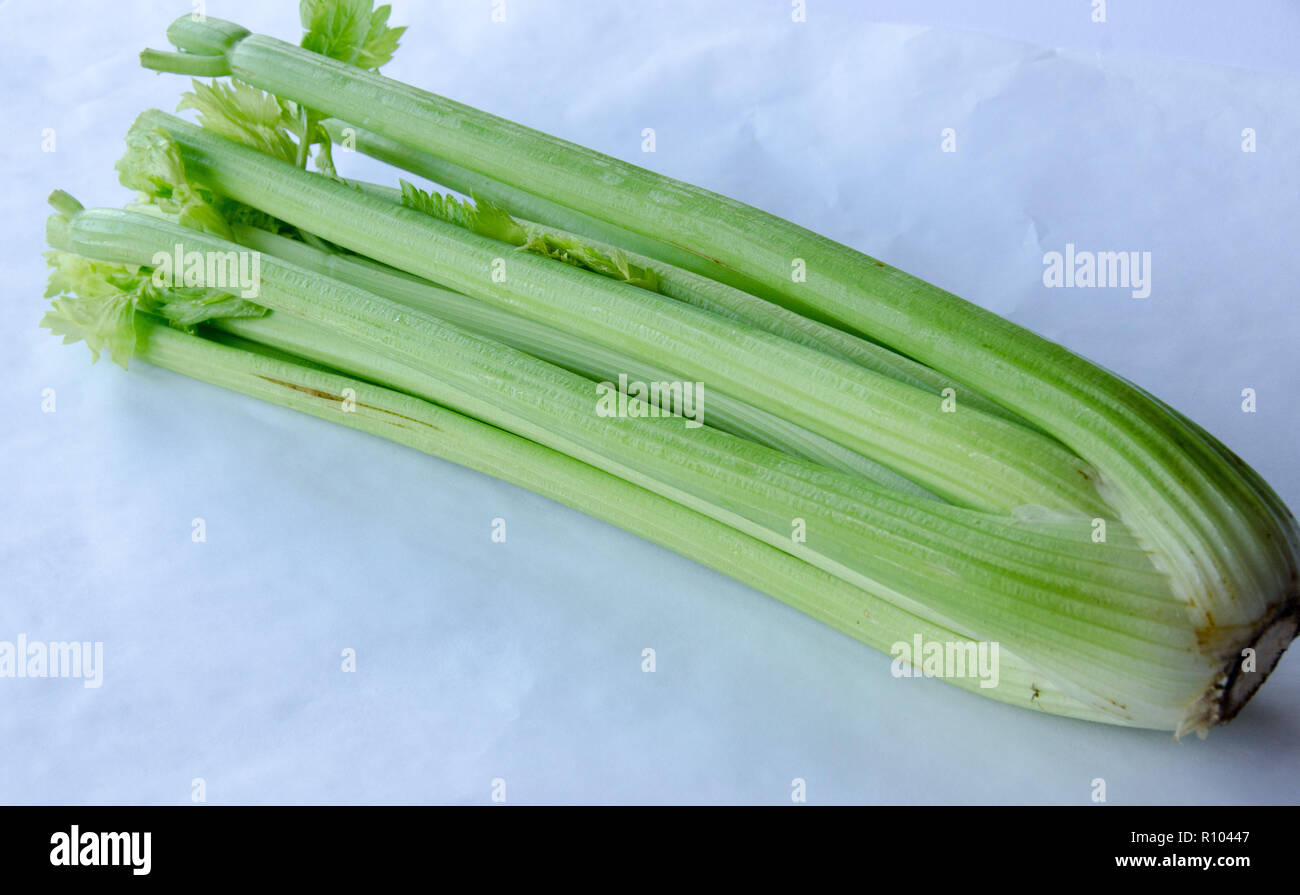 Celery (Apium graveolens var. dulce) on white background Stock Photo