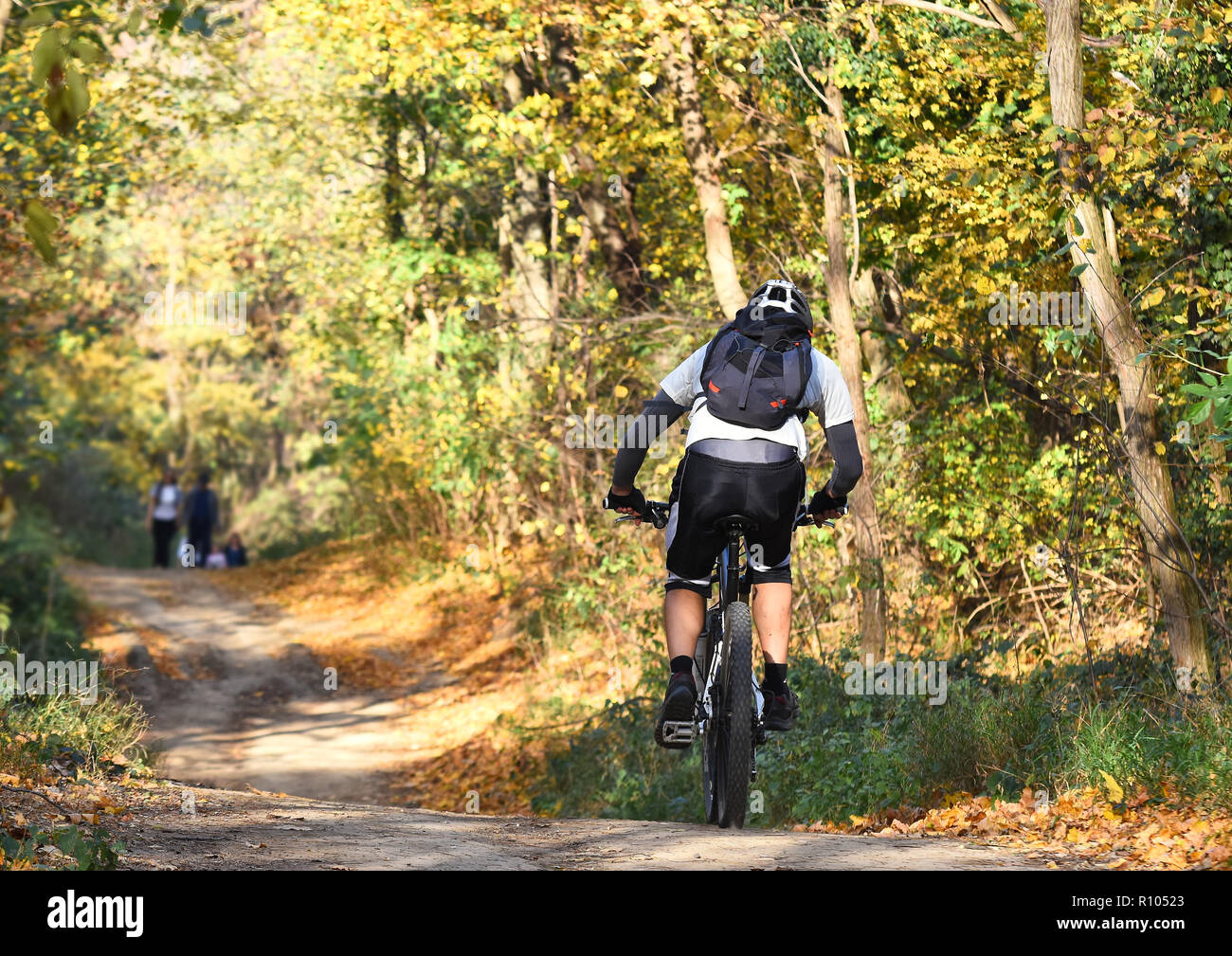 forest city mountain bike trail