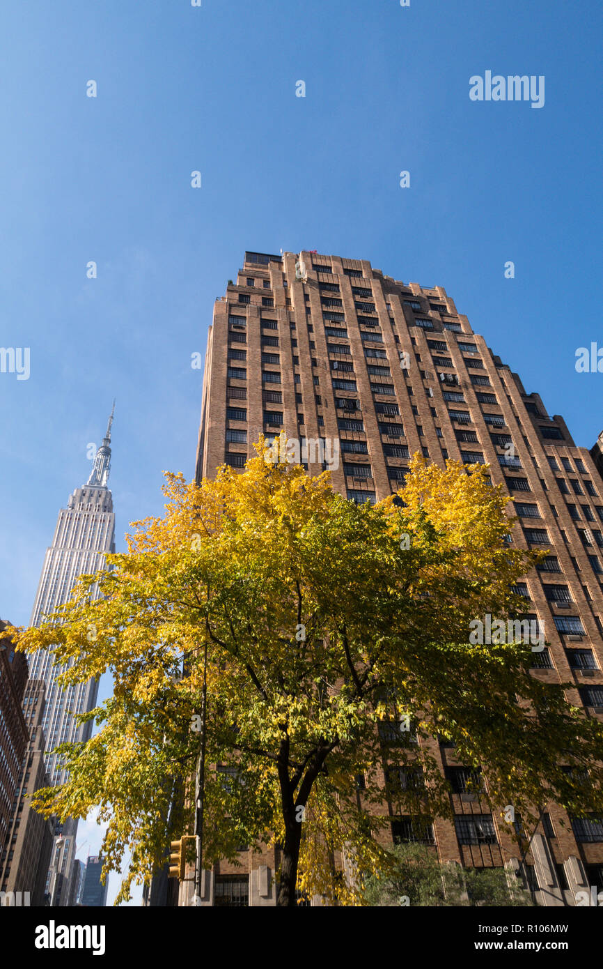 The Empire State Building and Ten Park Avenue in Murray Hill with a clear blue sky on an autumn day, NYC, USA Stock Photo
