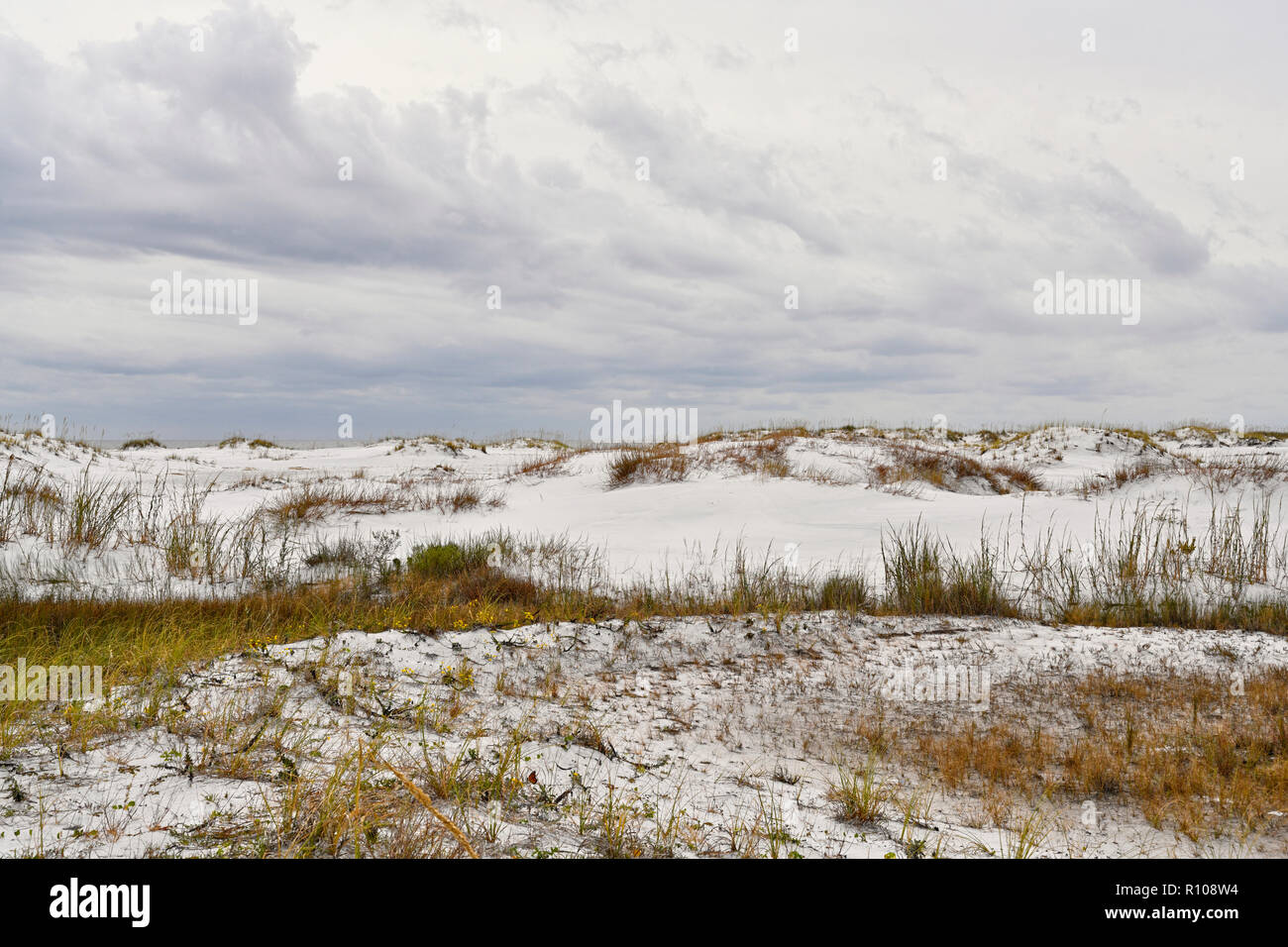 Florida coastal white sand dunes on a Gulf coast beach on Okaloosa Island, Florida, USA Stock