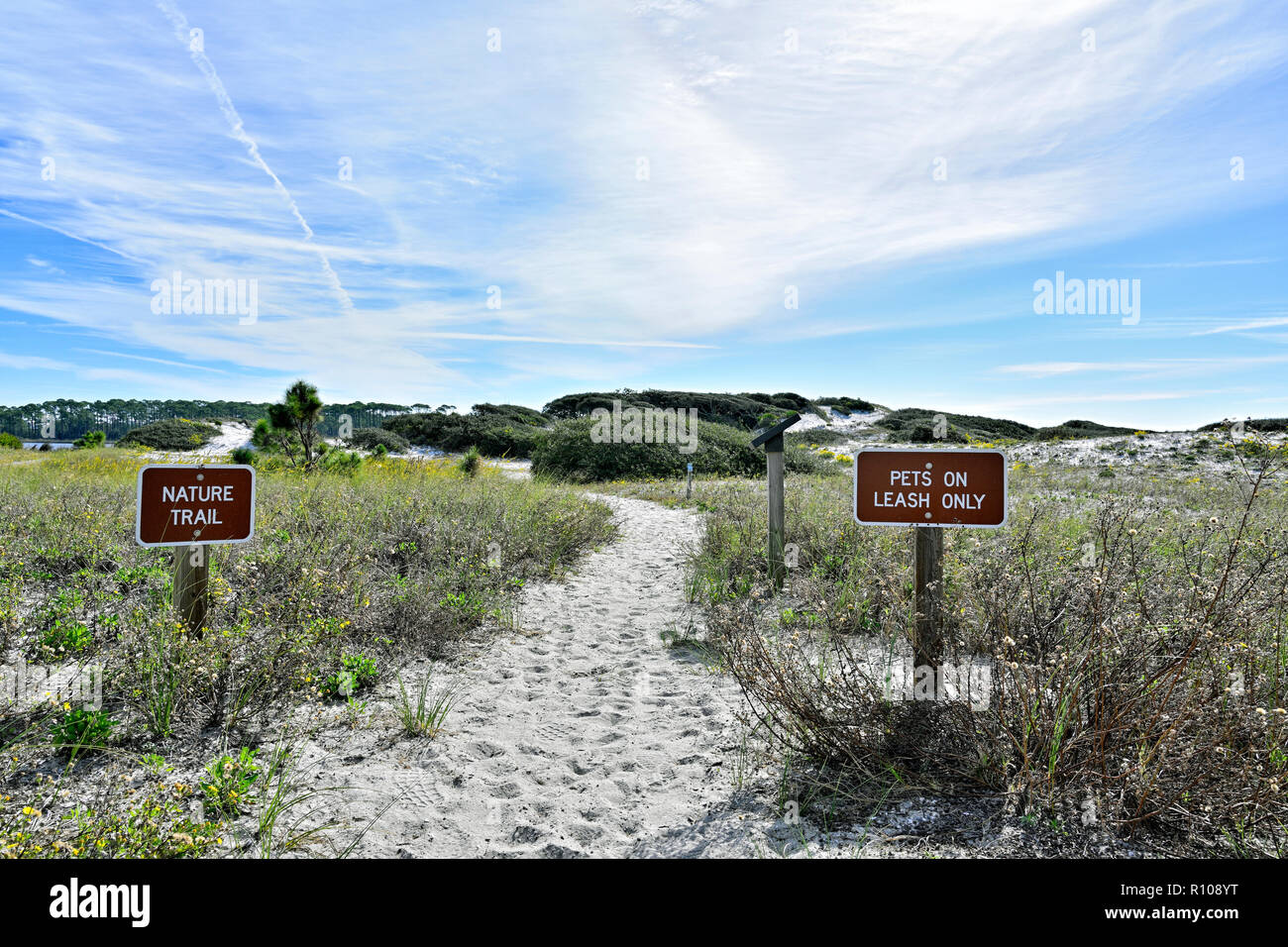 Head of nature trail or walking trail through the white sand dunes of Deer Lake State Park, Florida USA, on the Florida Gulf coast panhandle. Stock Photo
