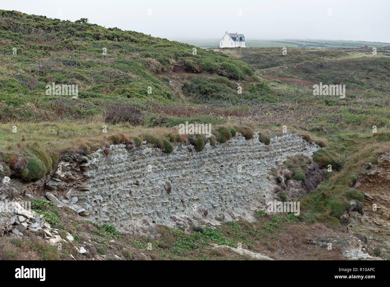 wall, South West Coast Path near Tintagel, Cornwall, England, Great Britain Stock Photo