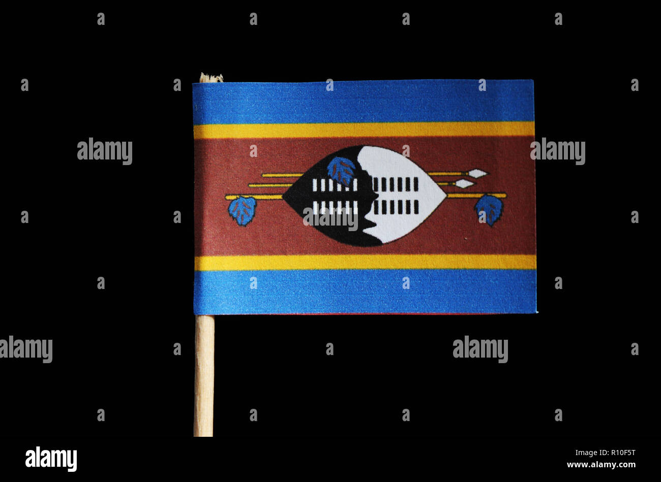 A official flag of Eswatini on toothpick on black background. A horizontal triband of blue and yellow edged red with the large black and white Nguni s Stock Photo