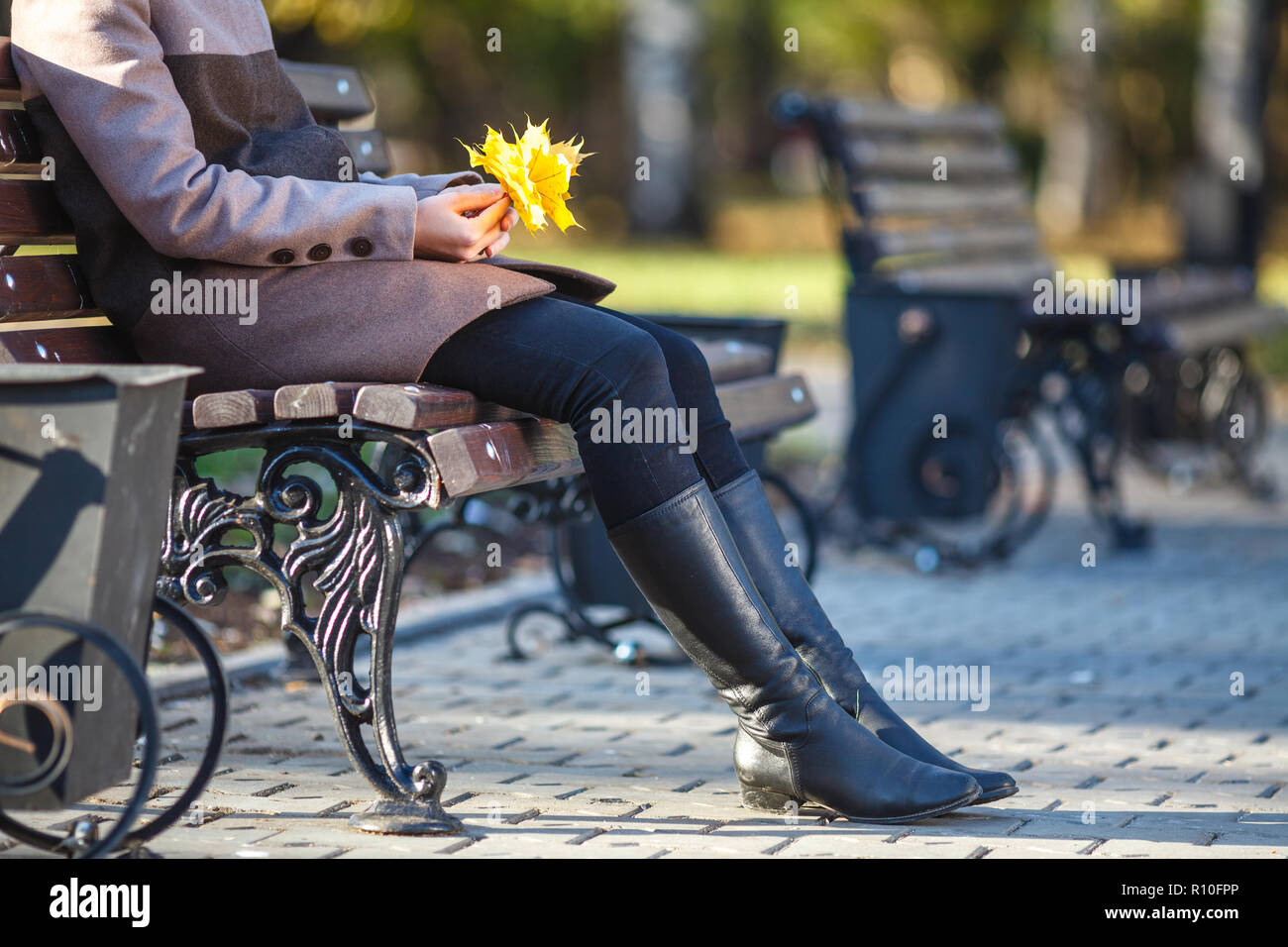 Girl sitting on the bench in the autumn in park Stock Photo - Alamy