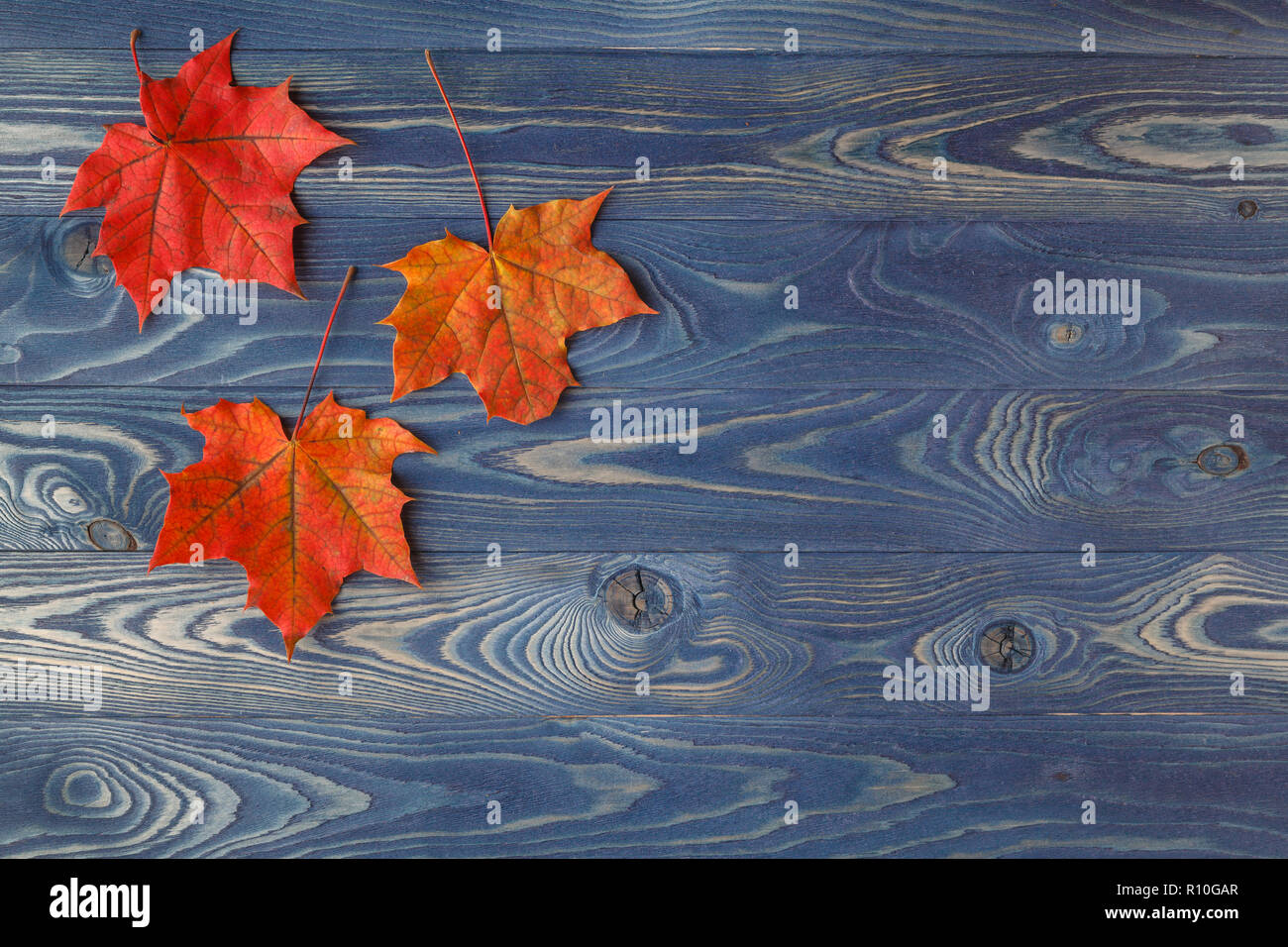 Fall background frame with maple leaves on blue Stock Photo - Alamy
