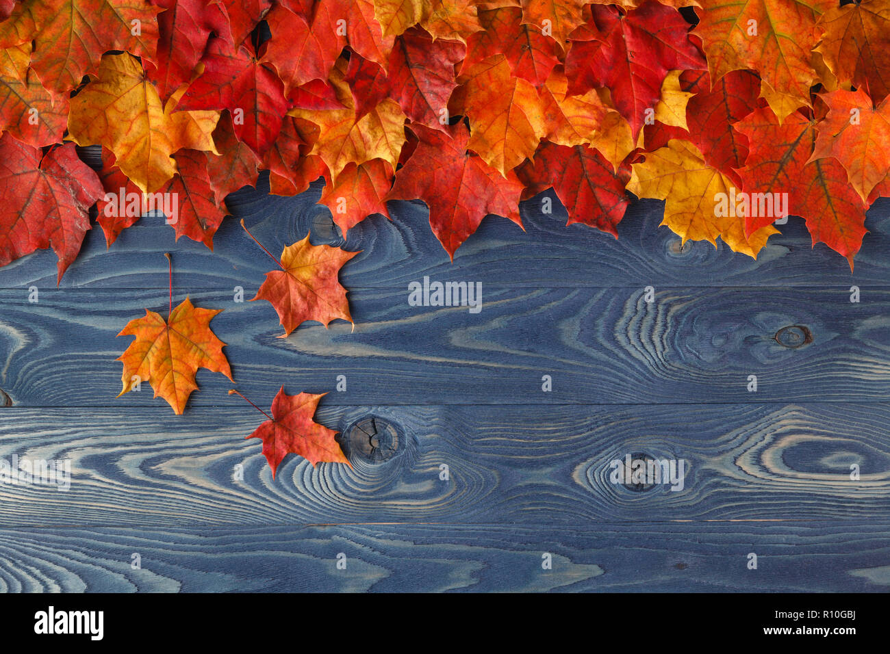 Autumn leaves on wooden boards, background of autumn Stock Photo - Alamy