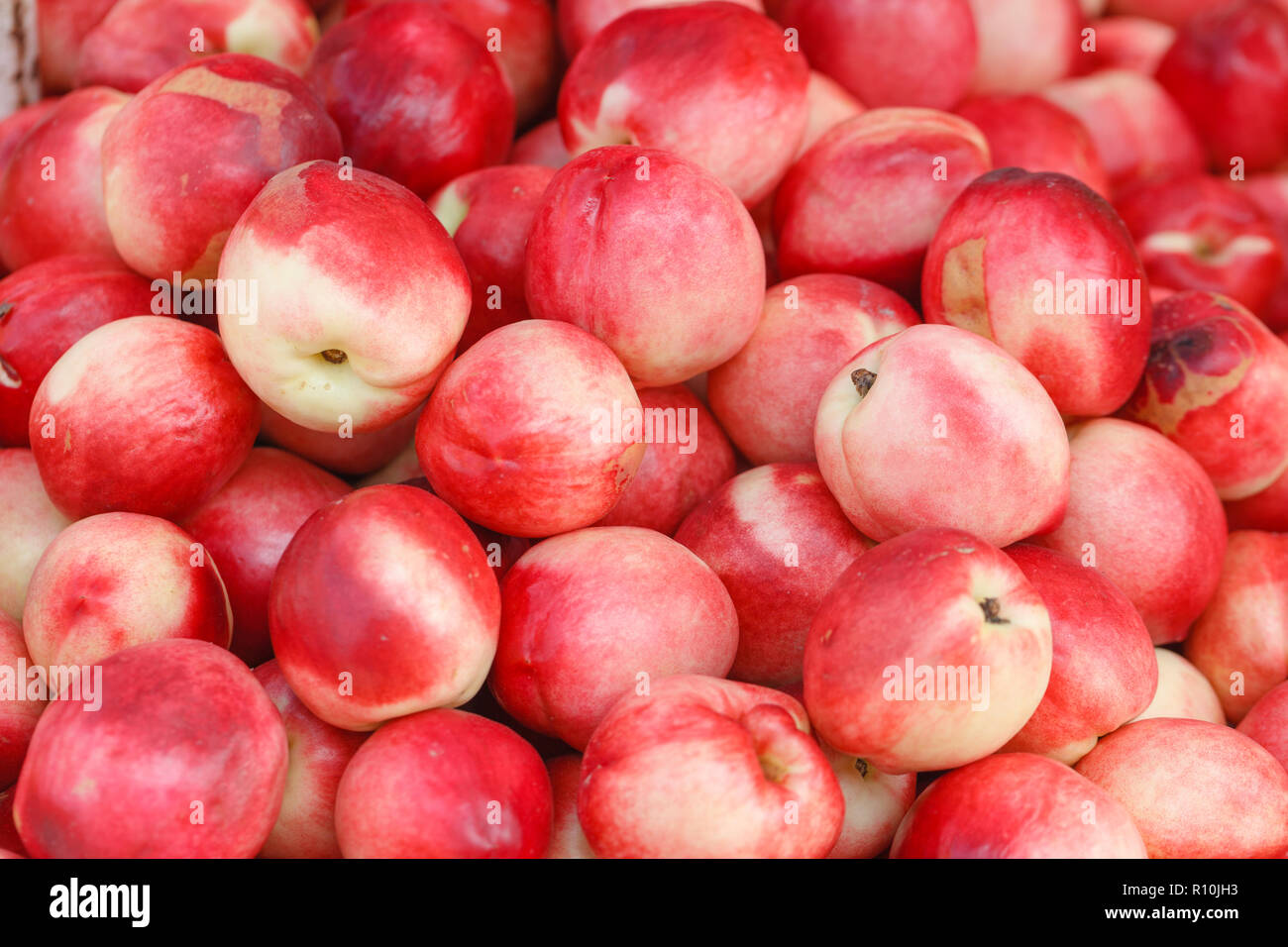 bright nectarines in the market Stock Photo