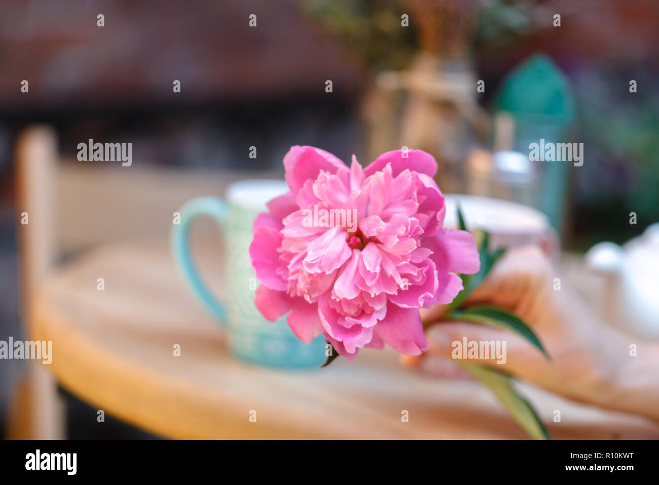 Street cafe. Cozy outdoor cafe Stock Photo