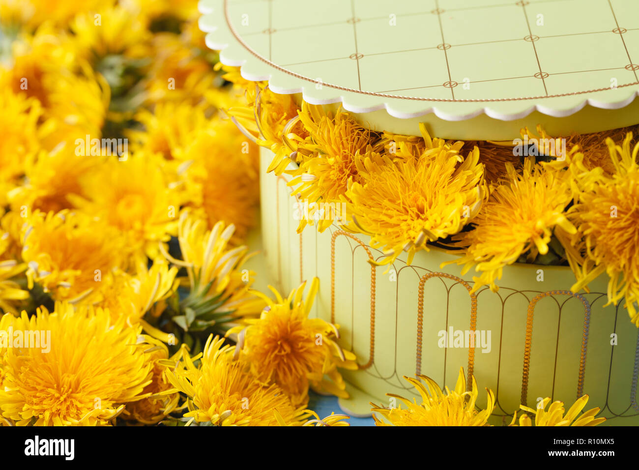 Florist at work: how to make box with dandelions flowers Stock Photo ...