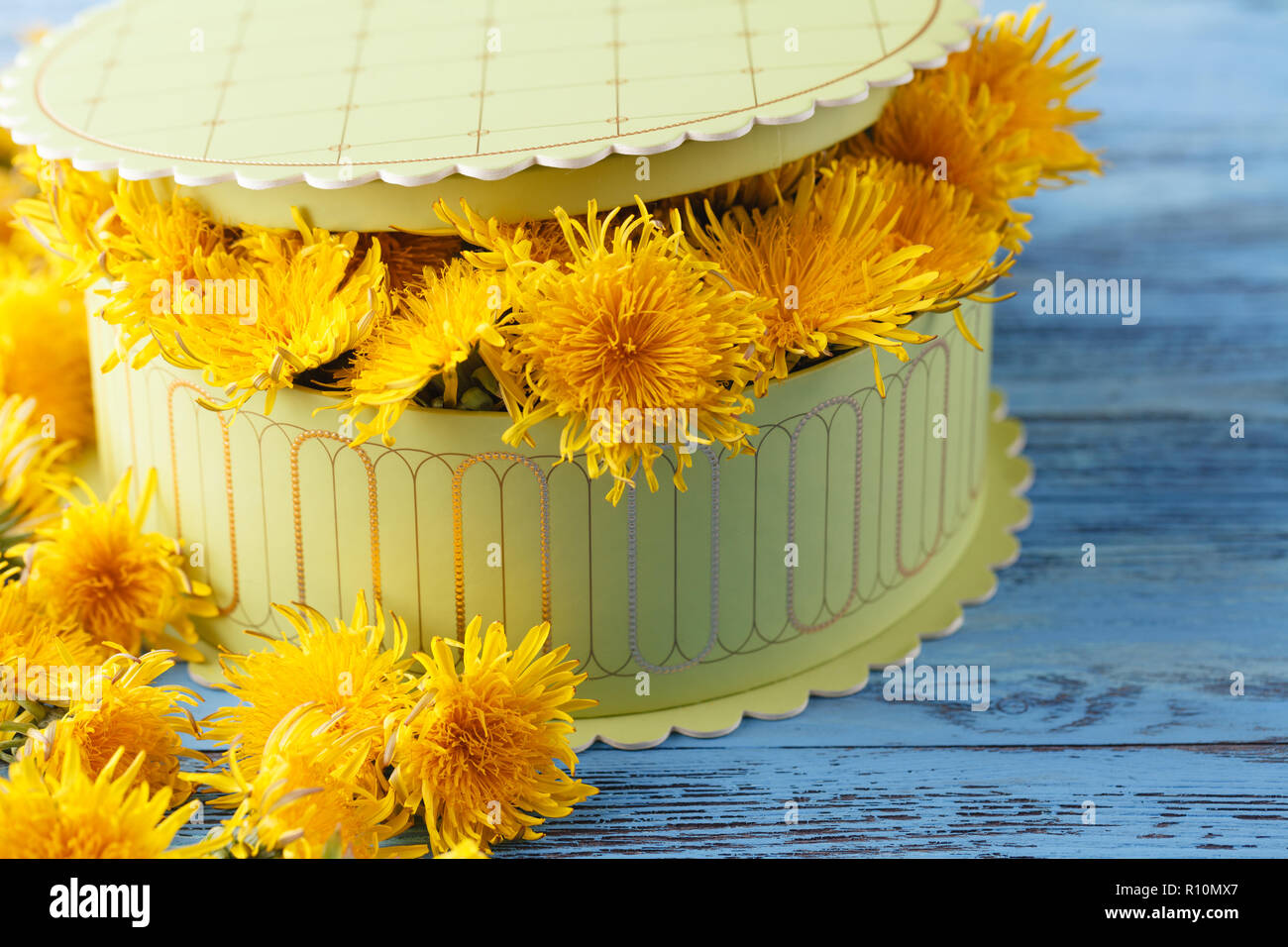 Florist at work: how to make box with dandelions flowers Stock Photo ...