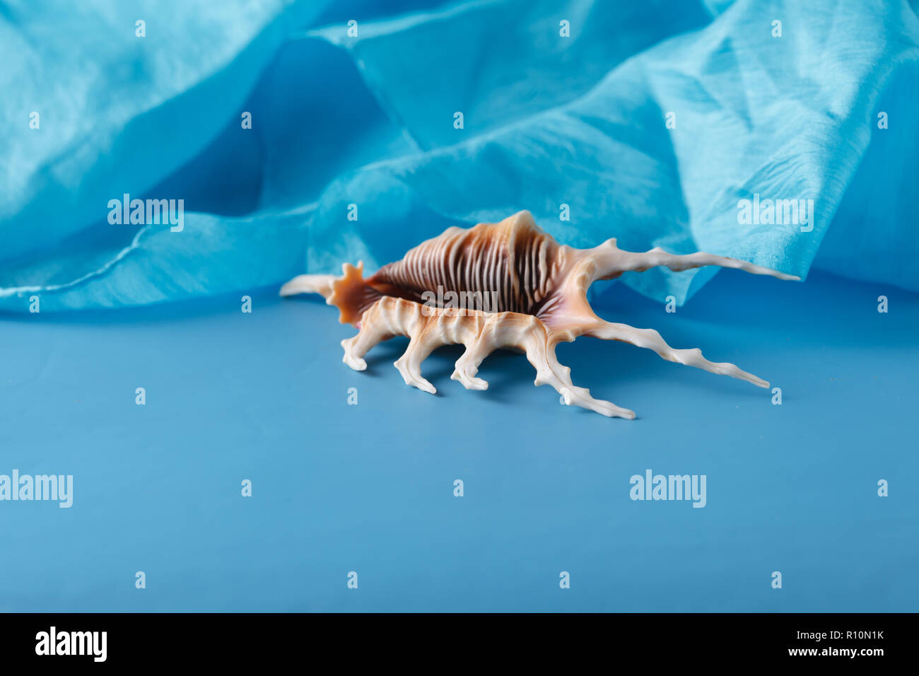 Sea blue silk background with shells Stock Photo - Alamy