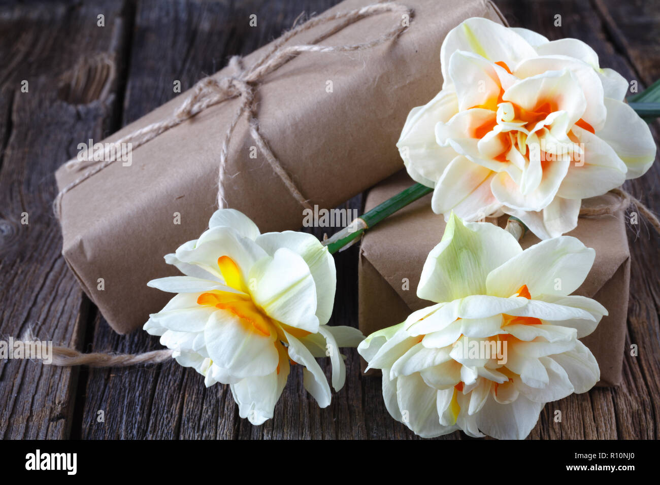white daffodil flowers on old wood table background Stock Photo