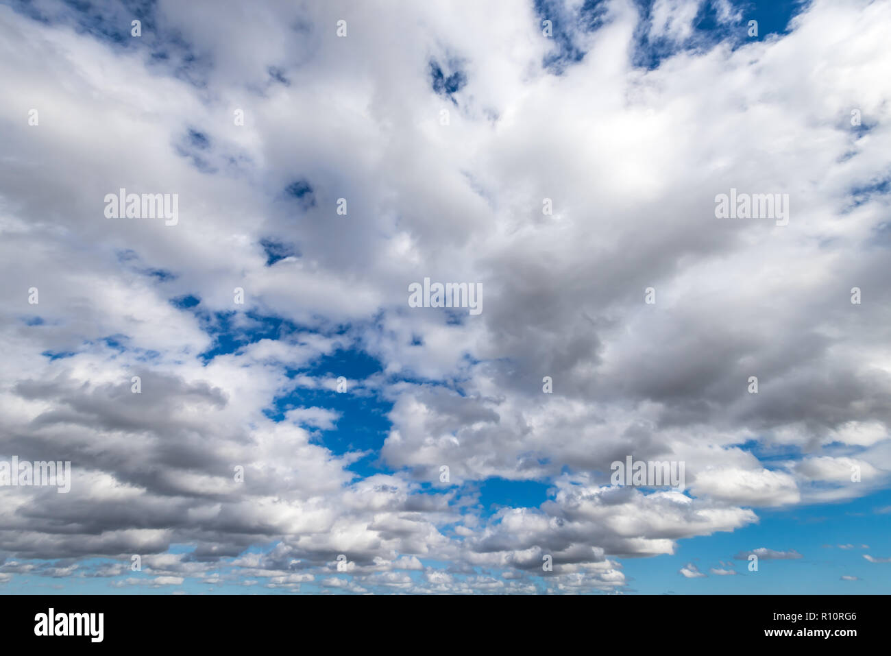 F12 -Fotos und -Bildmaterial in hoher Auflösung – Alamy