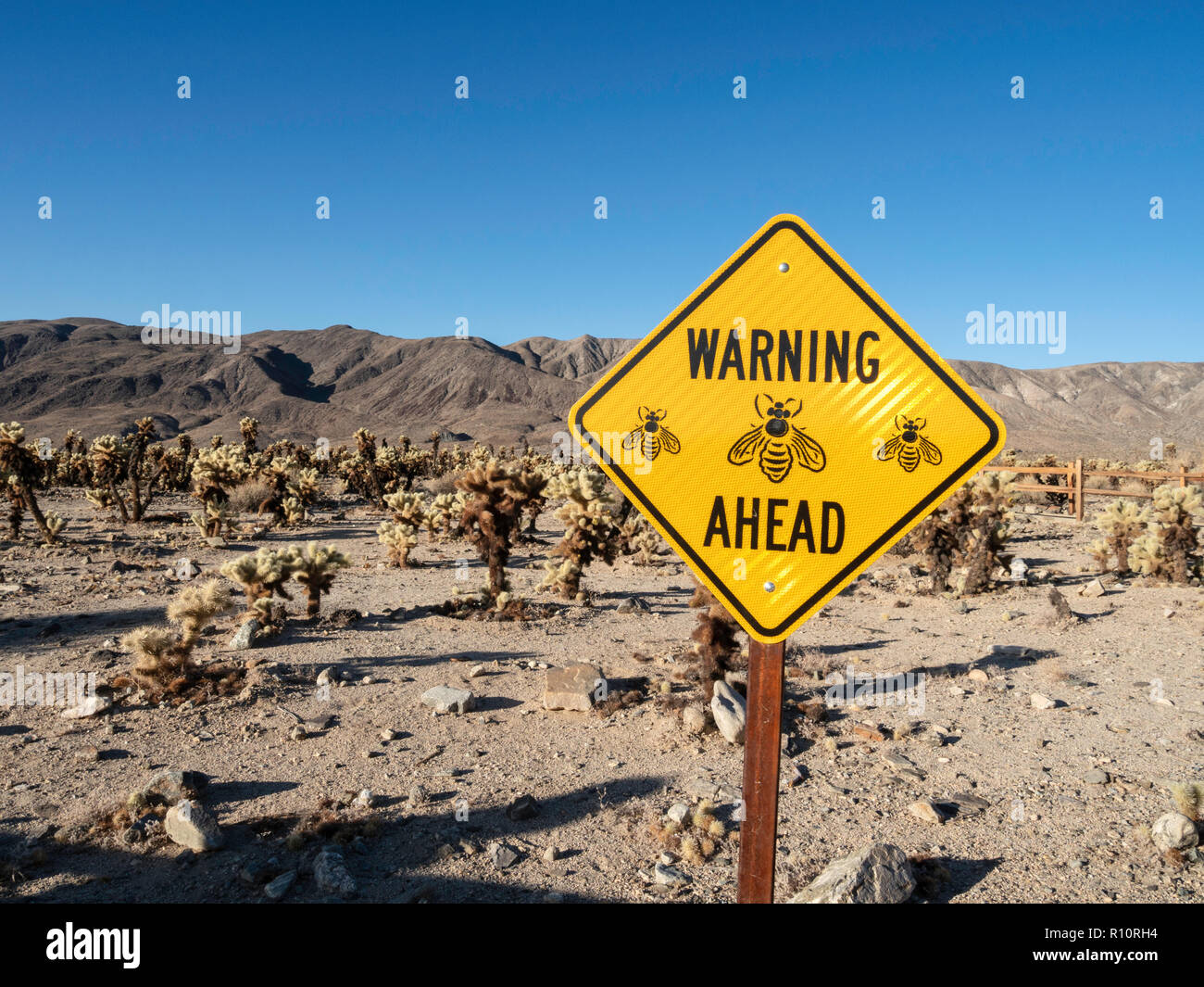 Bee warning sign, Cholla Gardens, Joshua Tree National Park, California, USA Stock Photo