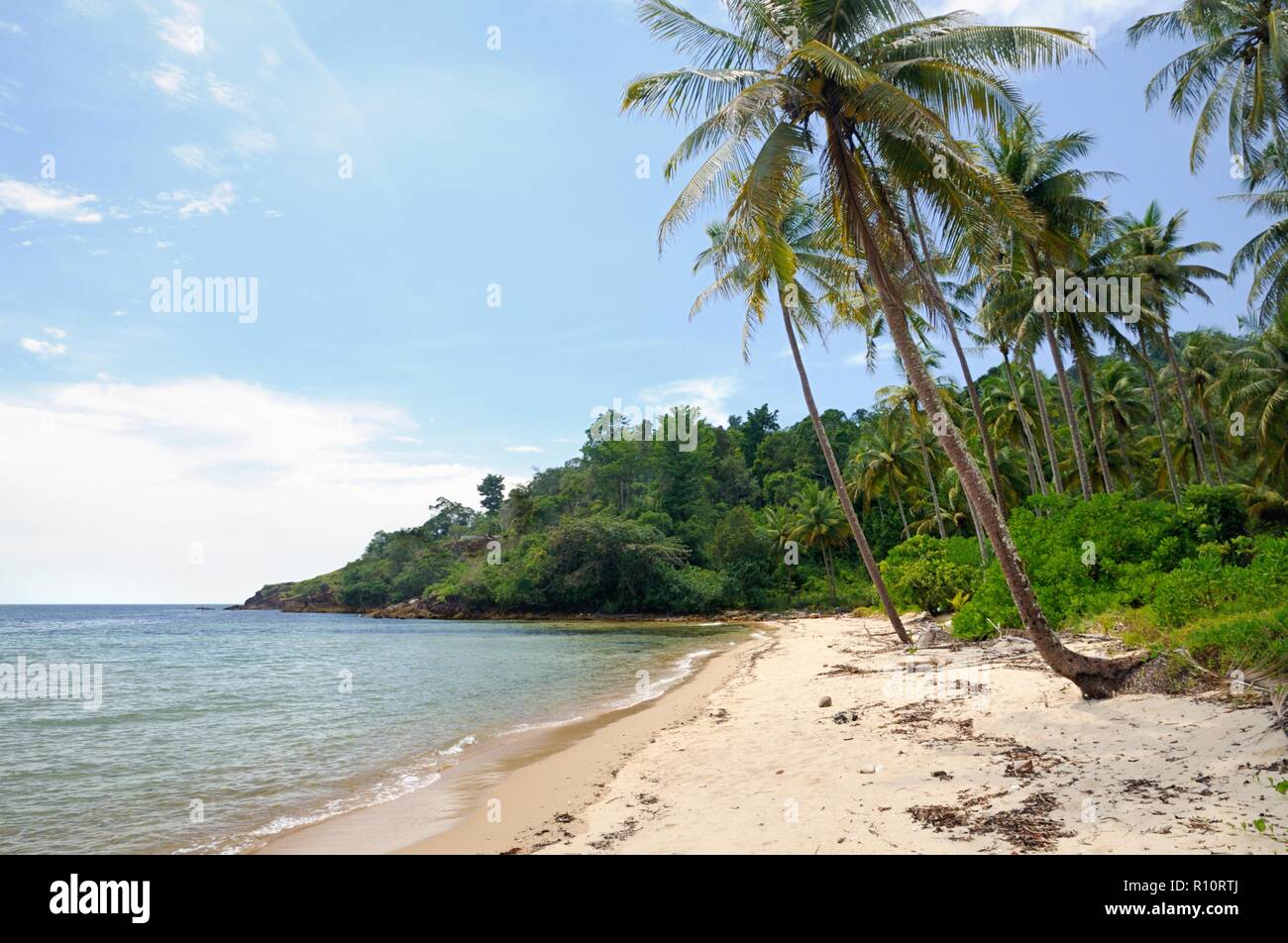 Tropical landscape with deserted amber sand beach, coconut palm trees and turquoise tropical sea on Koh Chang Island in Thailand Stock Photo