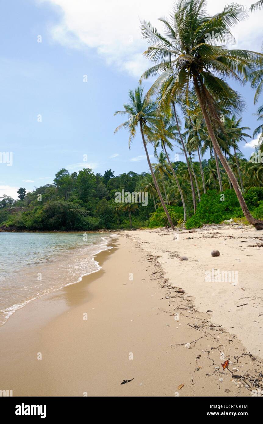 Tropical landscape with deserted amber sand beach, coconut palm trees and turquoise tropical sea on Koh Chang Island in Thailand Stock Photo