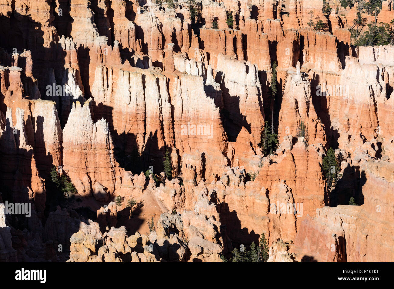 View of hoodoo formations from the Navajo Loop Trail in Bryce Canyon National Park, Utah, USA. Stock Photo