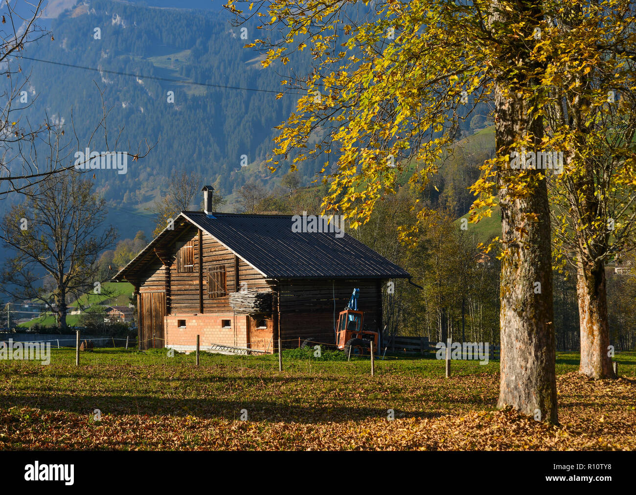 Small wooden cottage with autumn trees on mountain in Grindelwald, Switzerland. Stock Photo