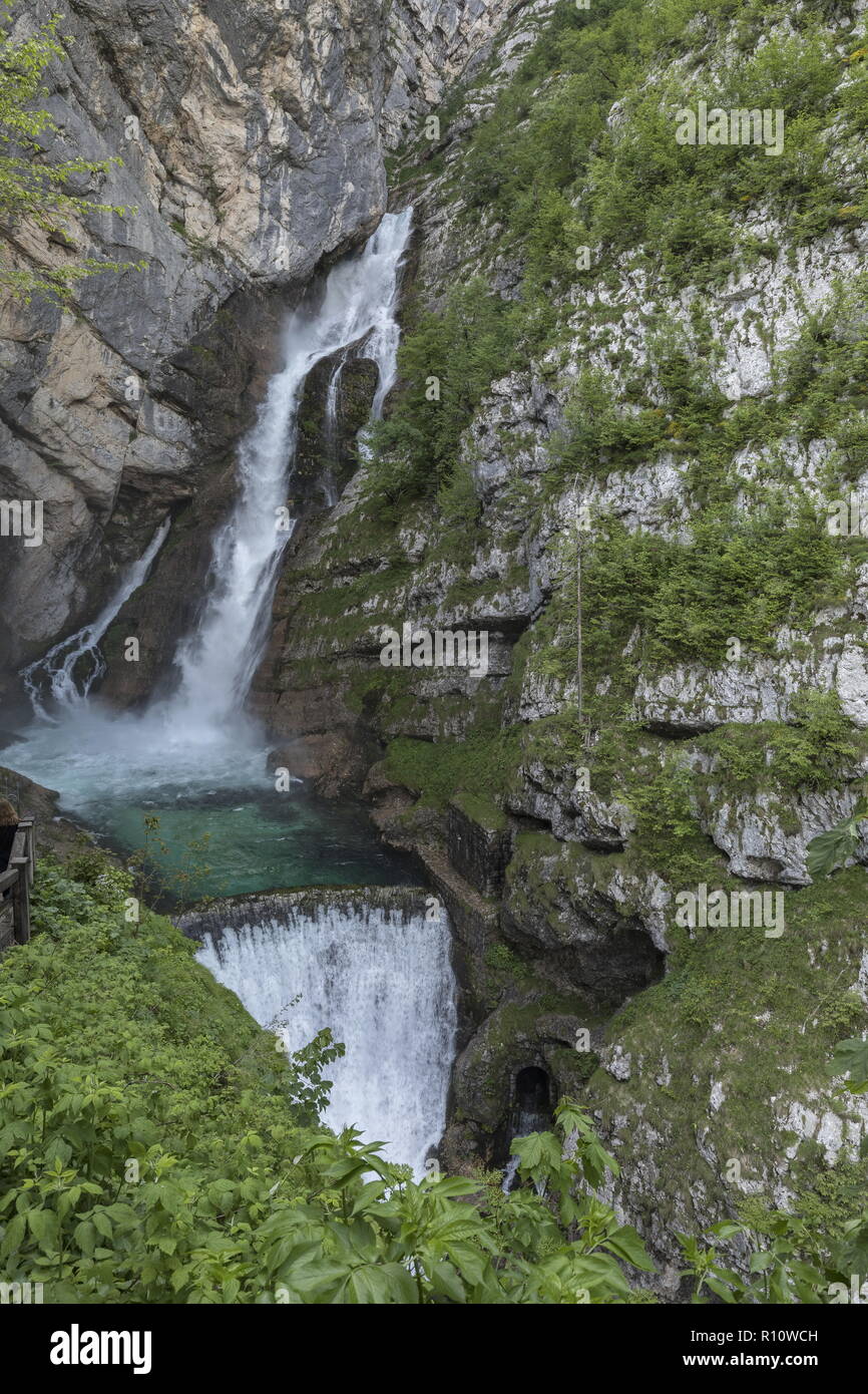 Slap savica waterfall, above Lake Bohinj; Julian Alps, Slovenia. Stock Photo