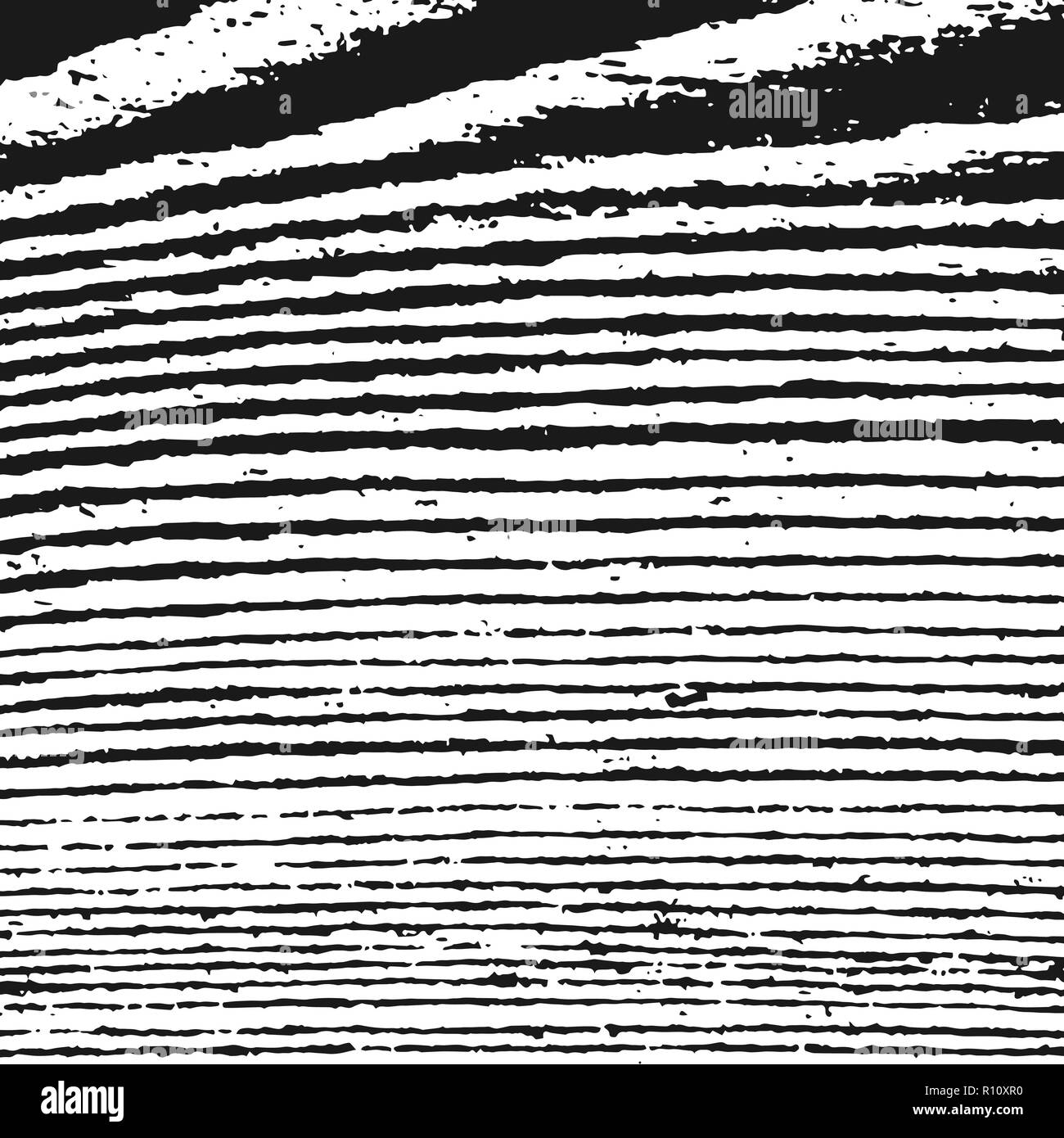 Zebra Print Ripped Black and white zebra texture background. Abstract ripped strips ...