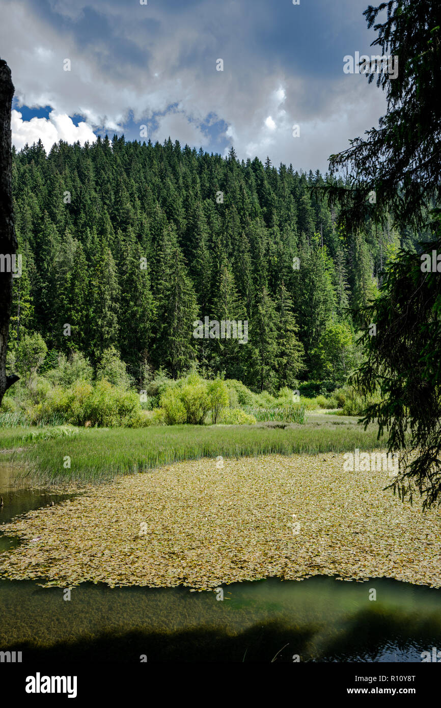 Red lake romania hires stock photography and images Alamy