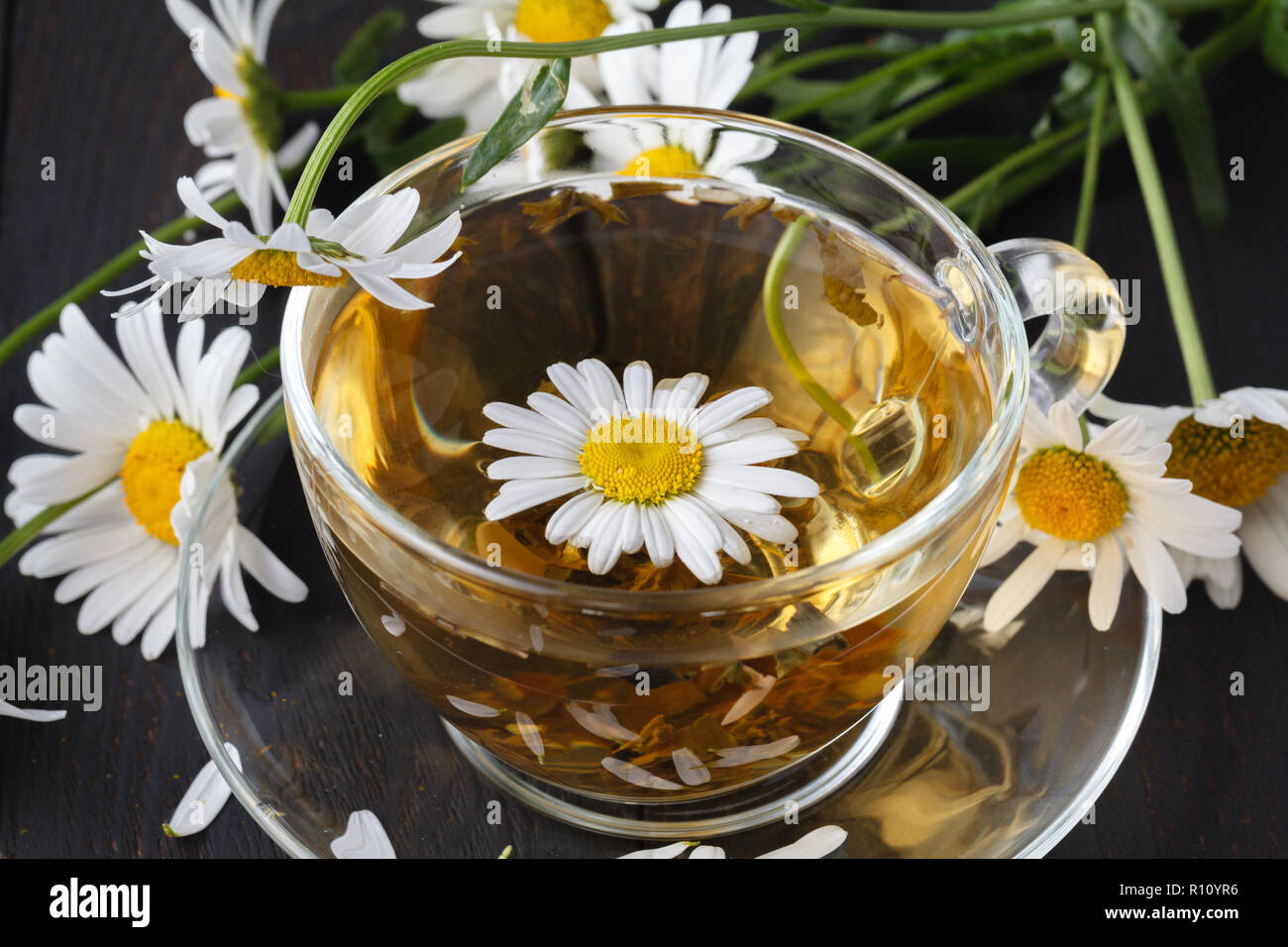 cup of herbal chamomile tea with fresh daisy flowers on wooden ...