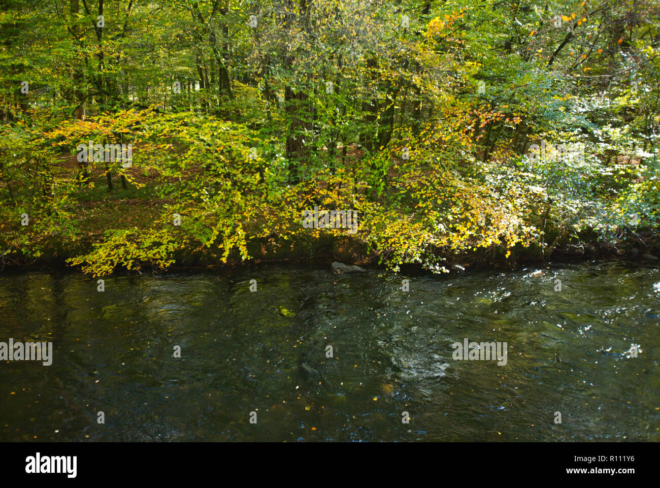 Autumnal colours on the River Teign within Dartmoor National Park, UK. Stock Photo