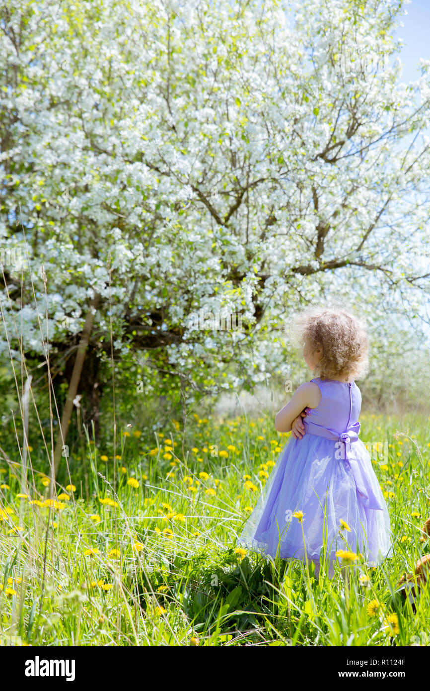 Young girl in violet party dress is standing and has turned her back and pouting, awesome gorgeous blooming apple tree on the background with white bl Stock Photo
